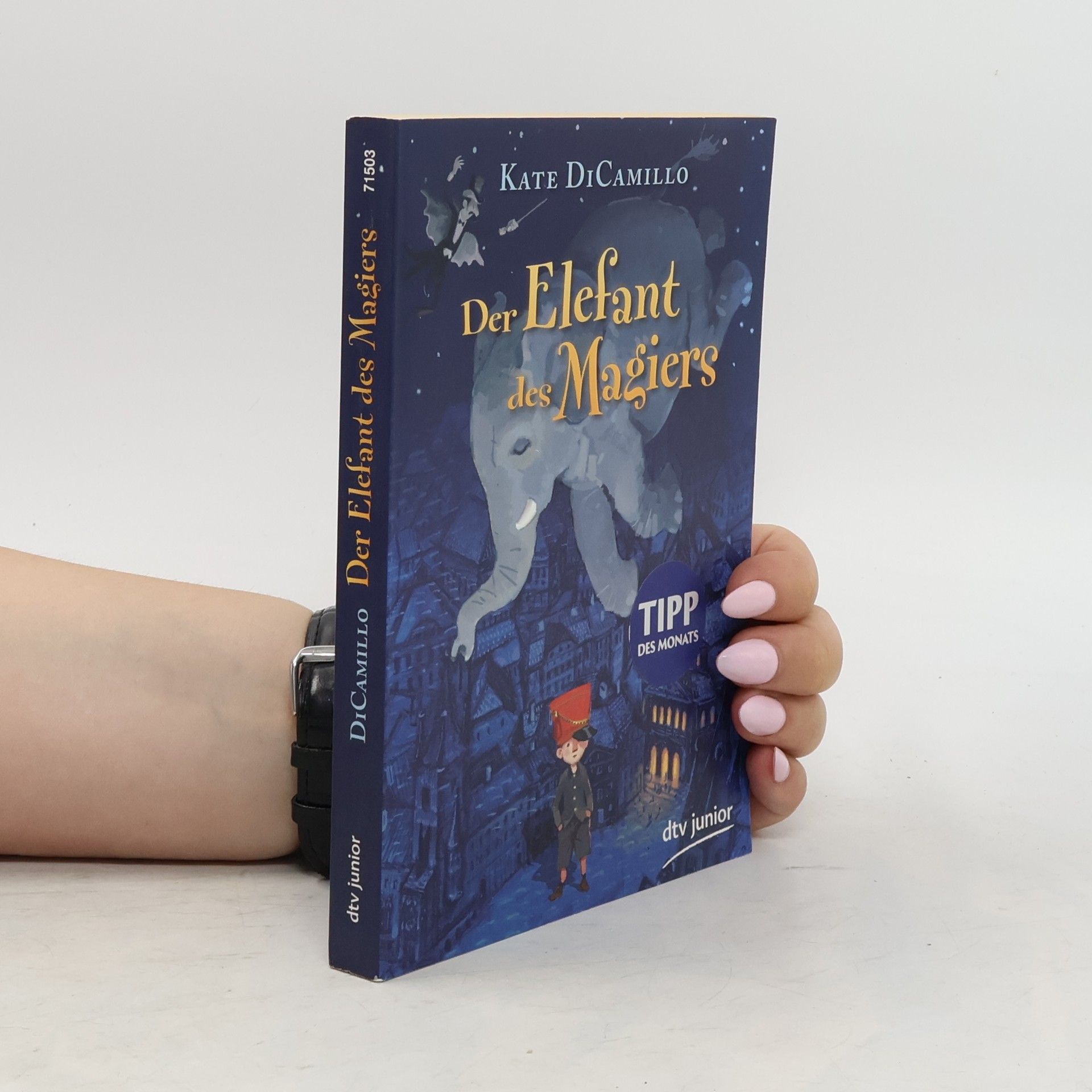 Kate DiCamillo Der Elefant des Magiers