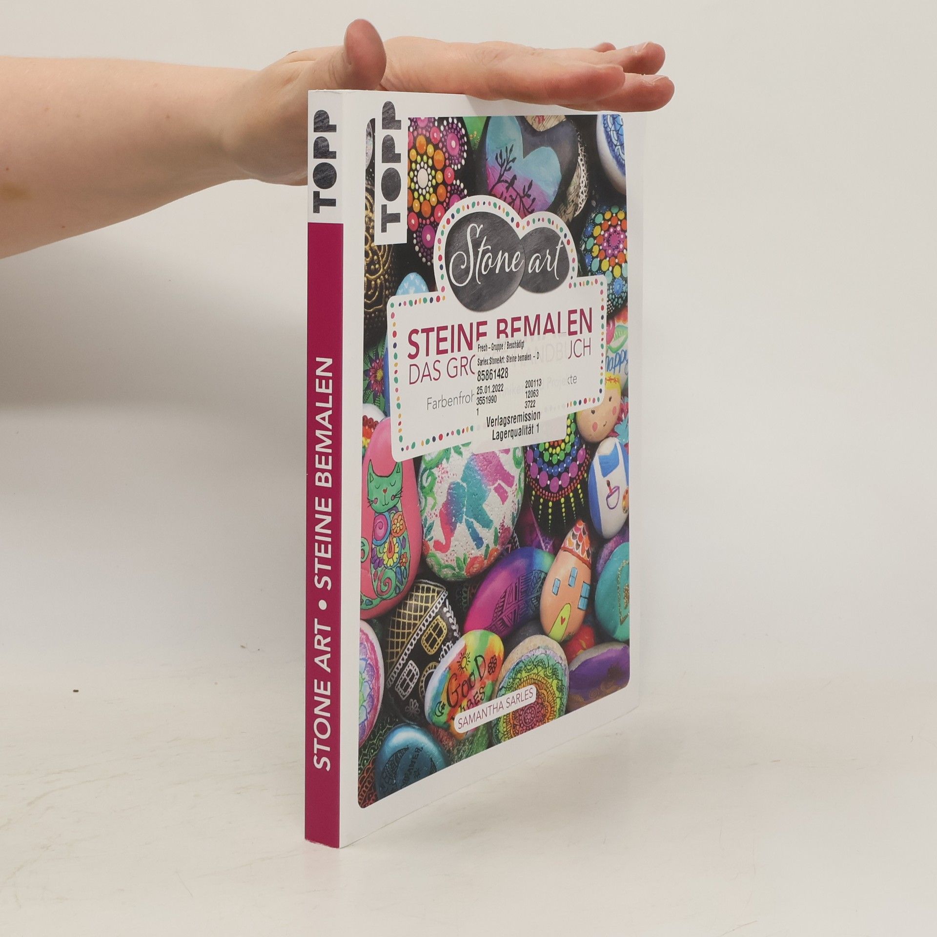 Samantha Sarles Stone Art - Das große Handbuch