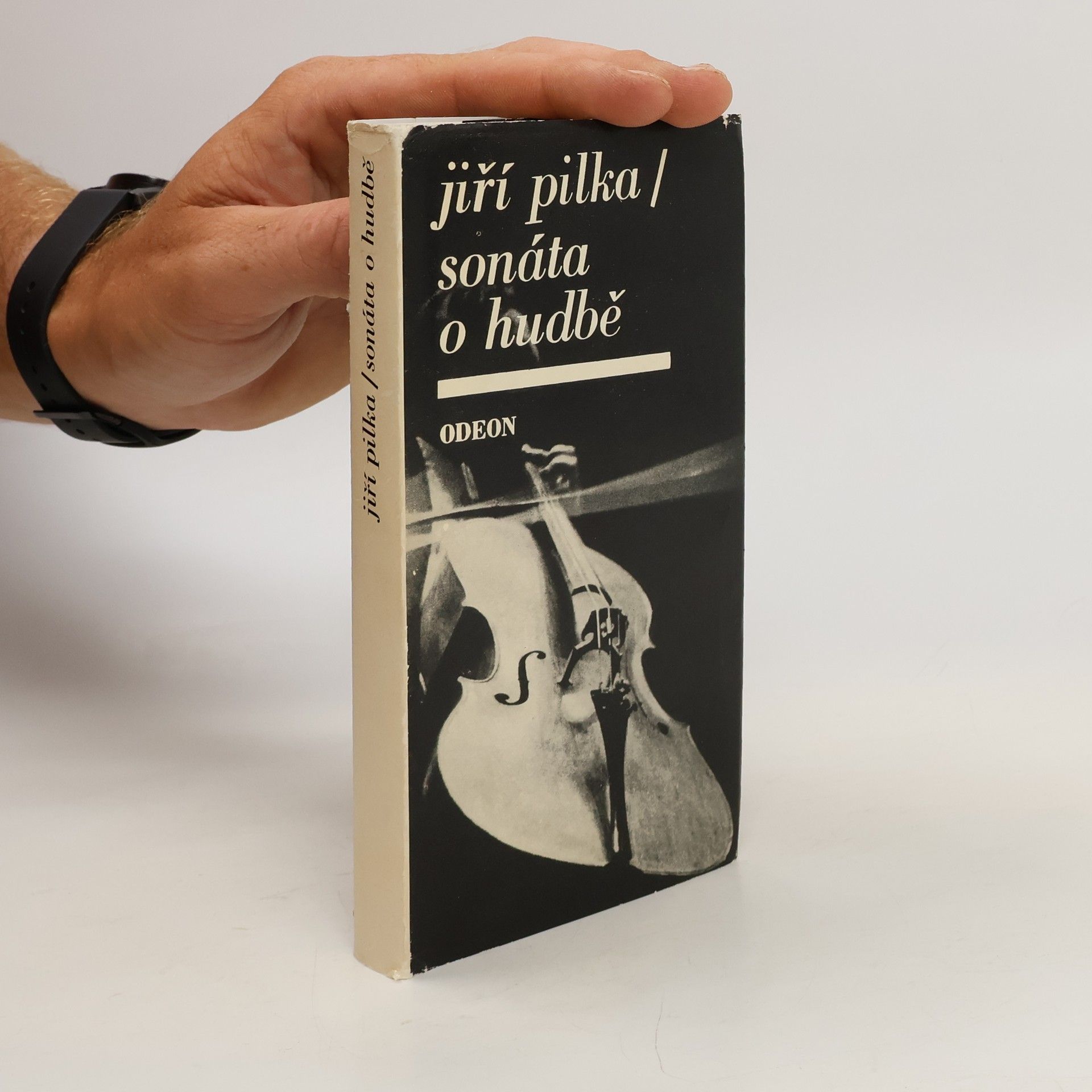 Jiří Pilka Sonáta o hudbě