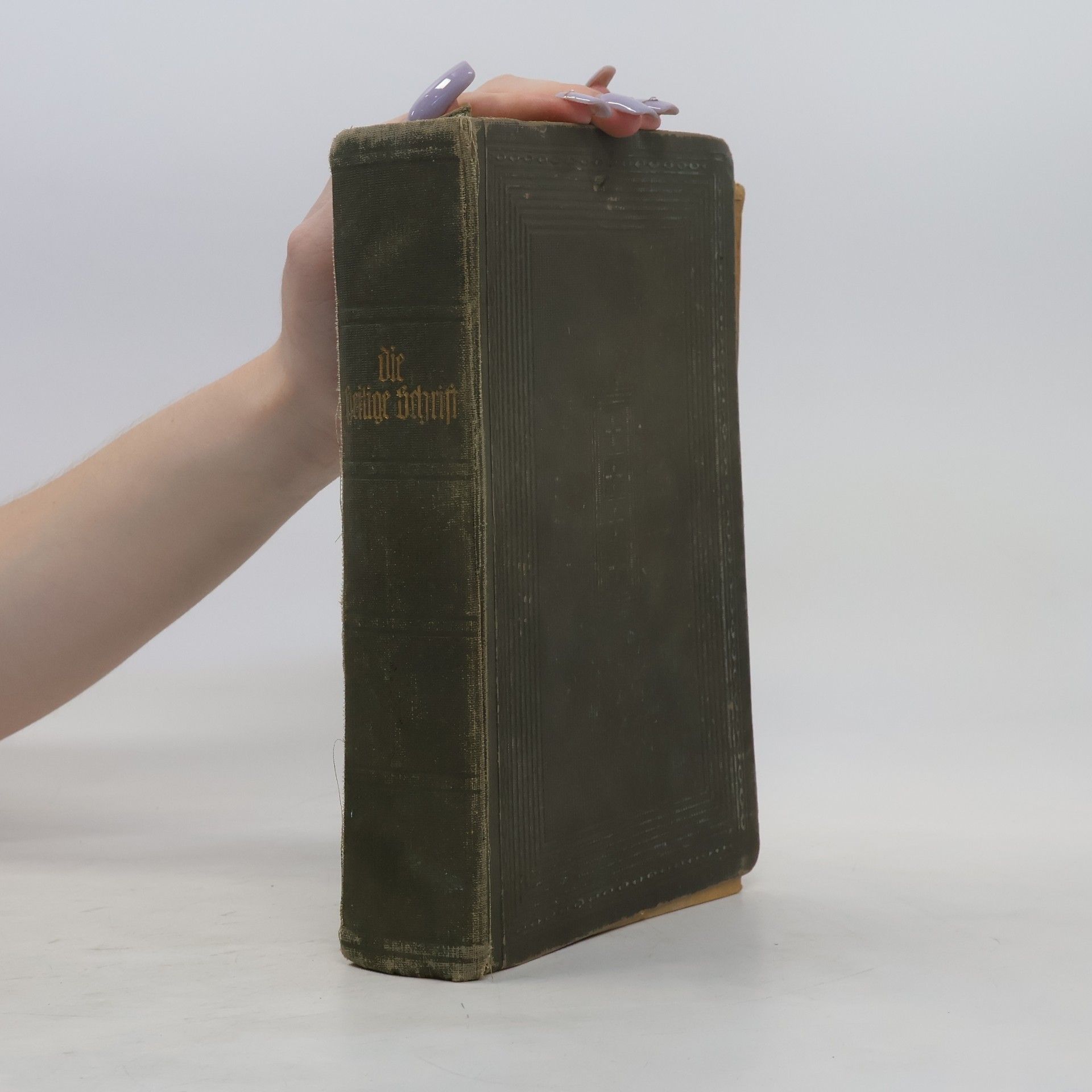kolektiv Die Bibel oder die ganze Heilige Schrift des Alten und Neuen Testaments