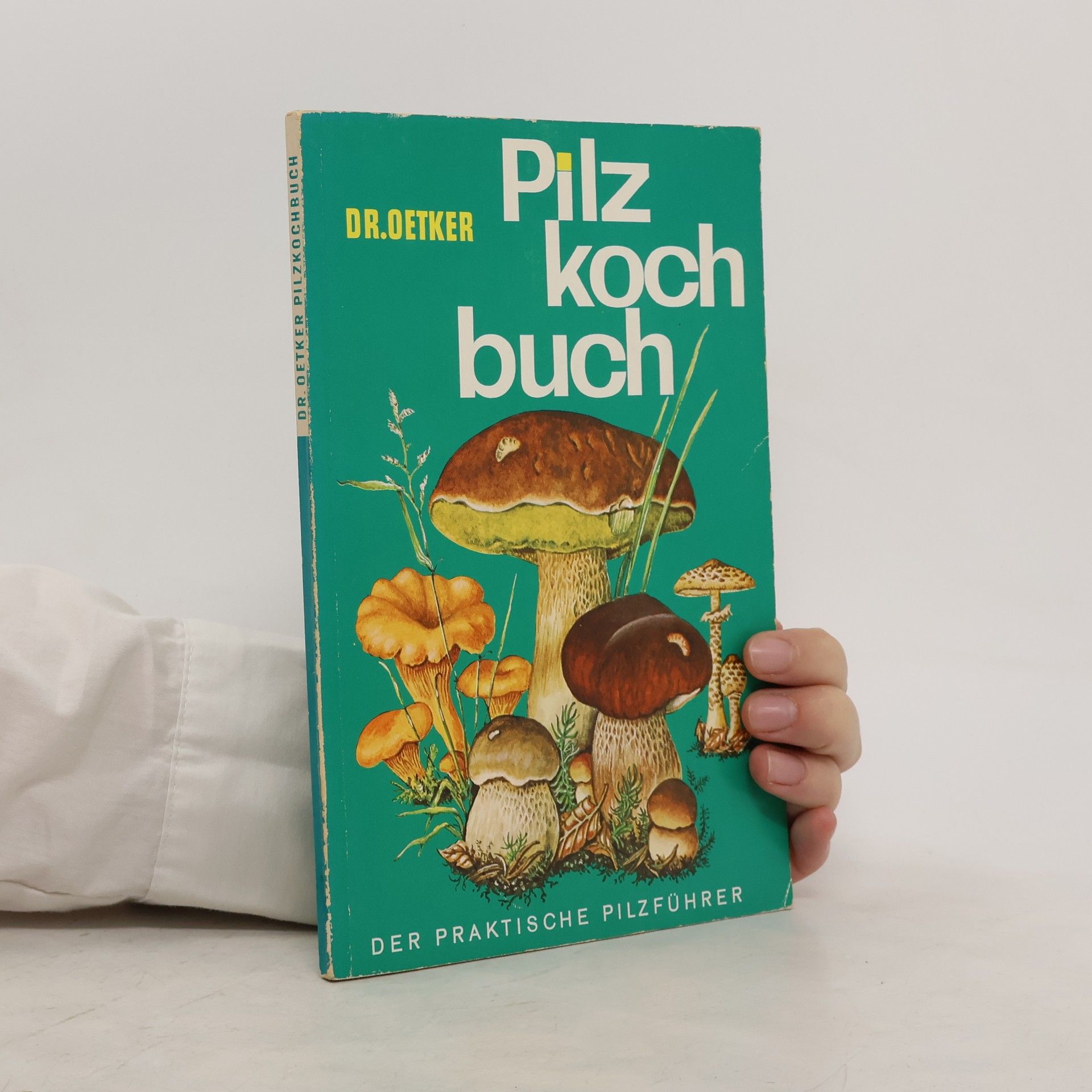 Autorenkollektiv Pilz koch Buch