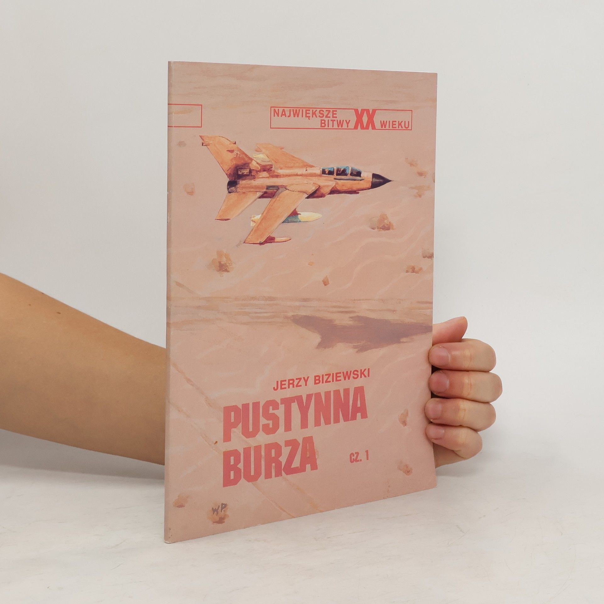 Jerzy Biziewski Pustynna Burza. T. 1