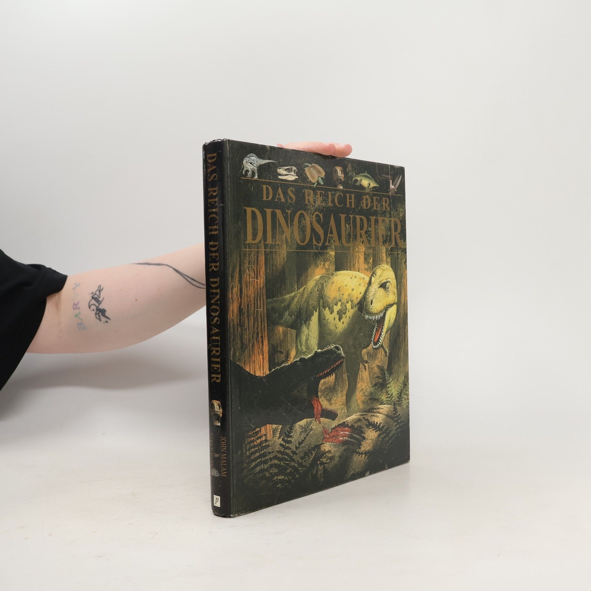 John Malam Das Reich der Dinosaurier