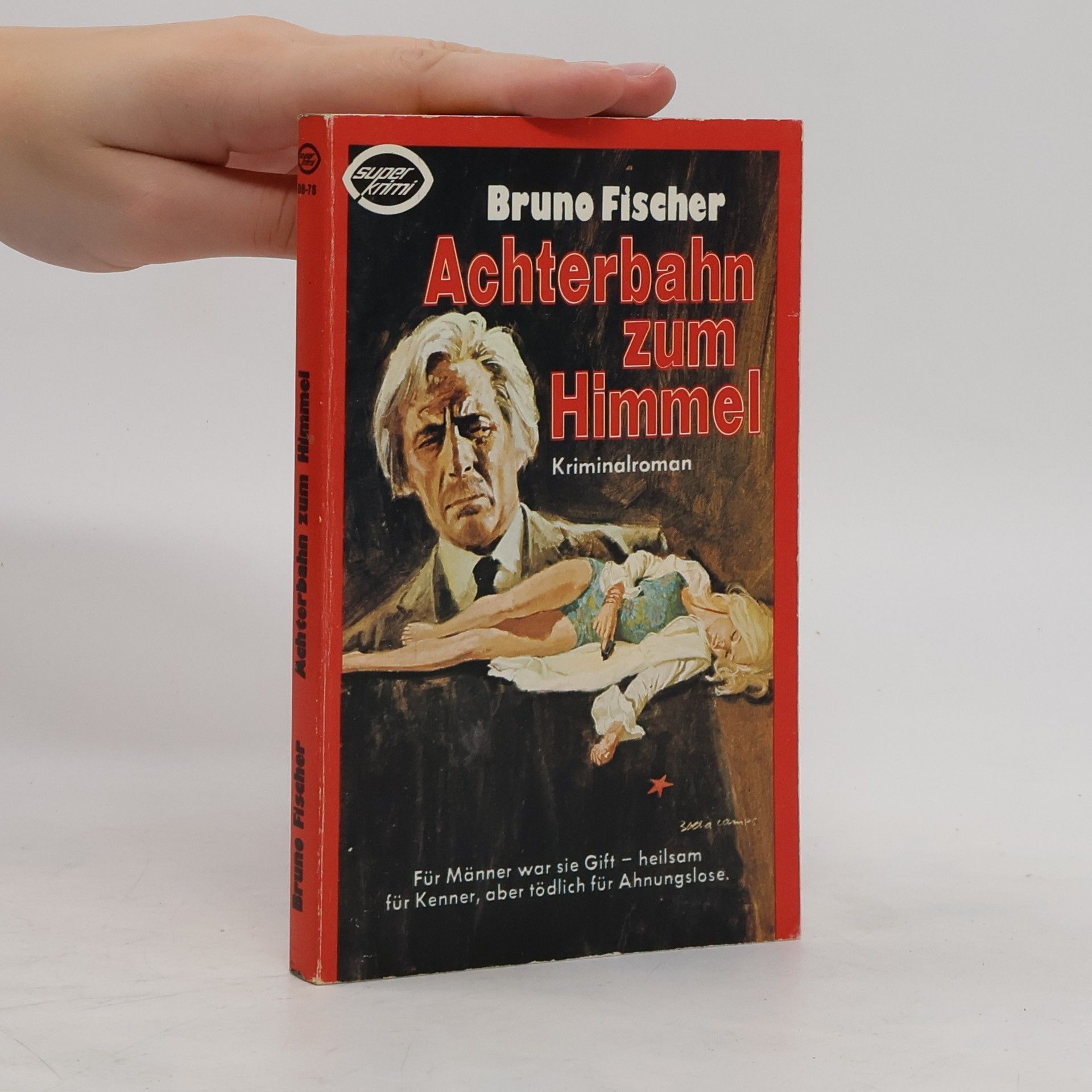 Bruno Fischer Achterbahn zum Himmel