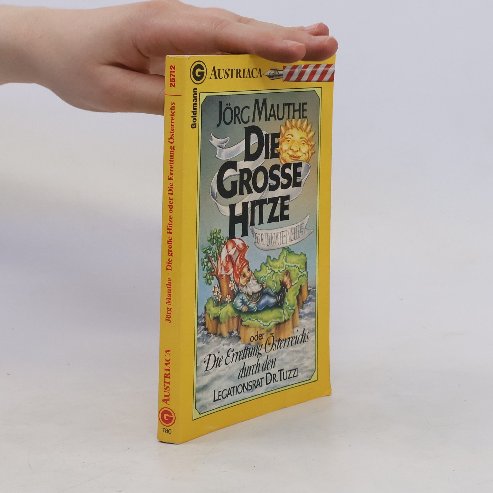 Jörg Mauthe Die große Hitze