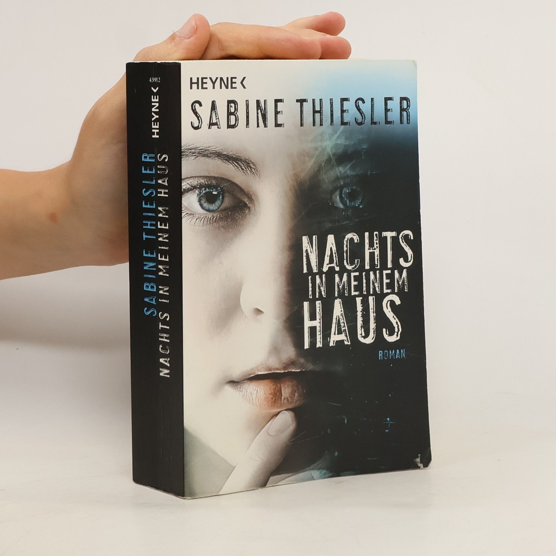 Sabine Thiesler Nachts in meinem Haus