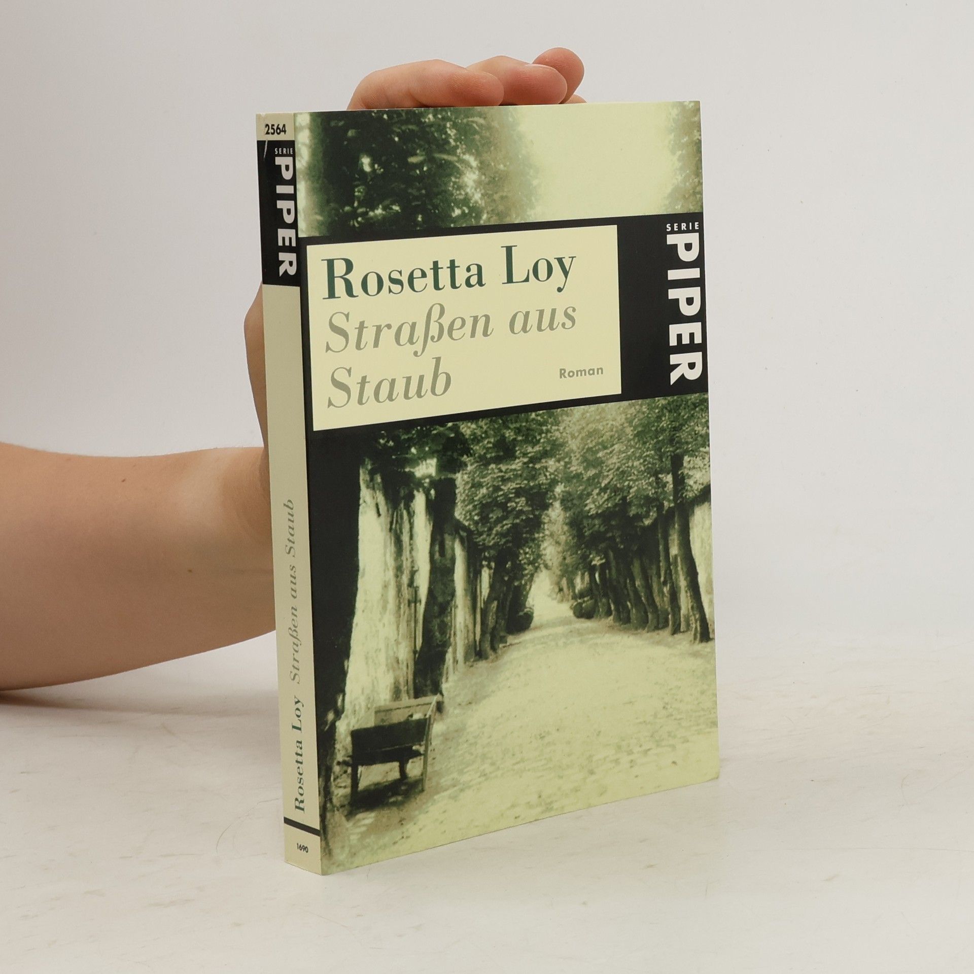 Rosetta Loy Straßen aus Staub