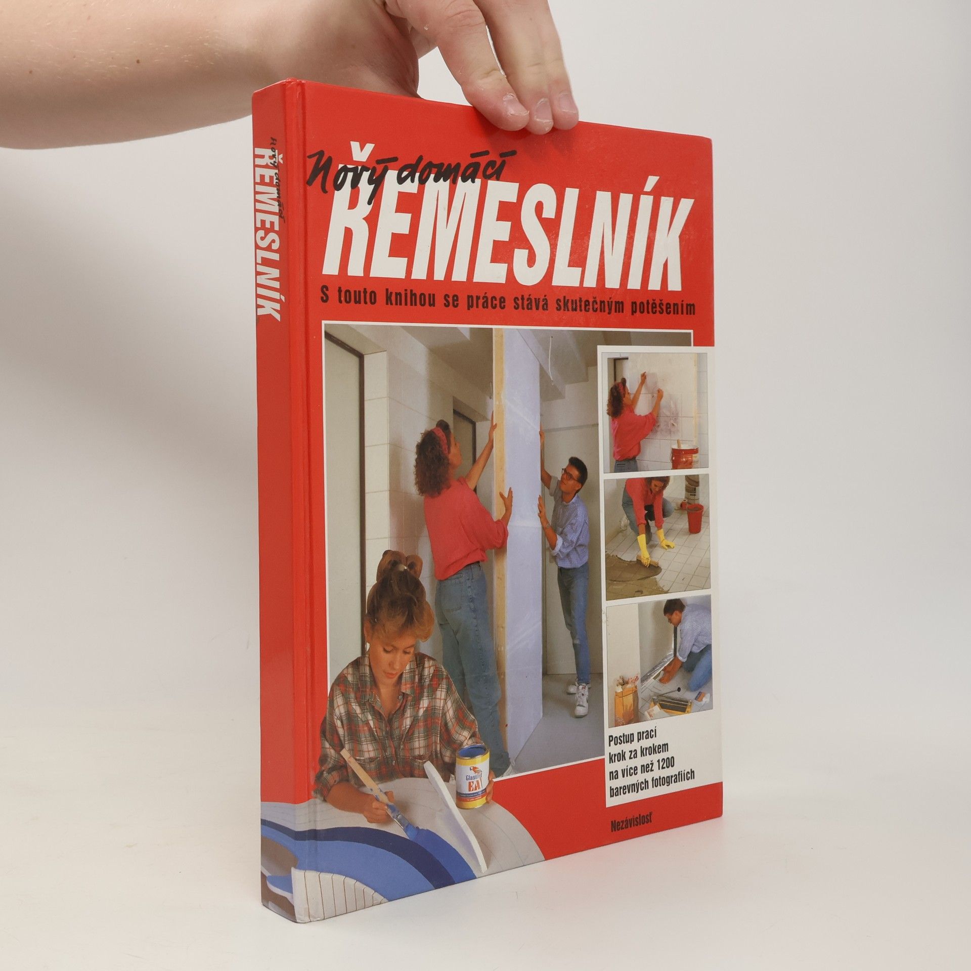 Dieter Rex Nový domácí řemeslník