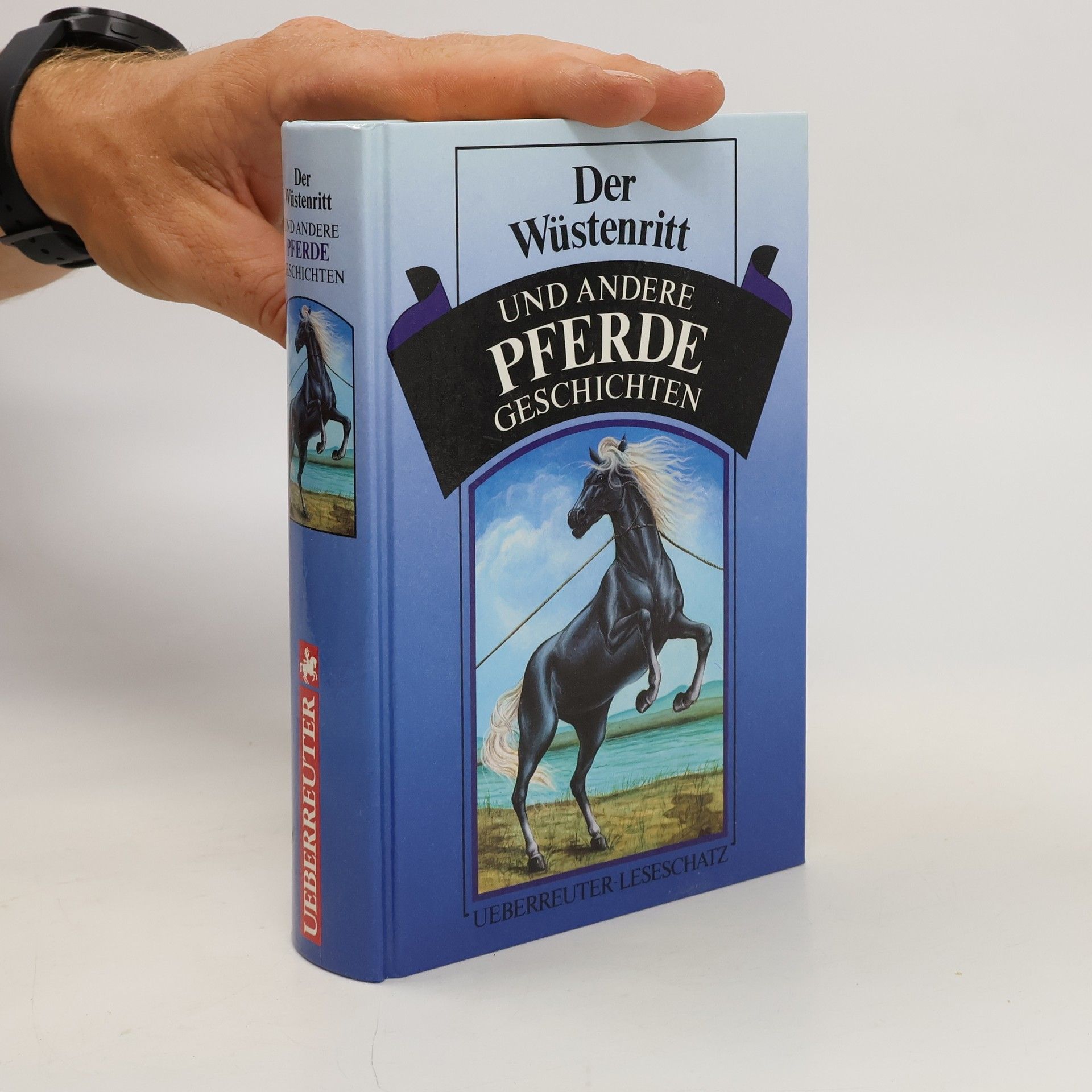 Autorenkollektiv Der Wüstenritt und andere Pferdegeschichten