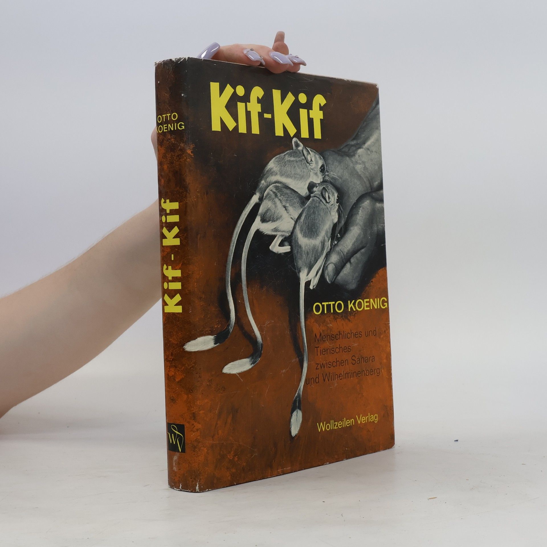 Otto Koenig Kif-Kif