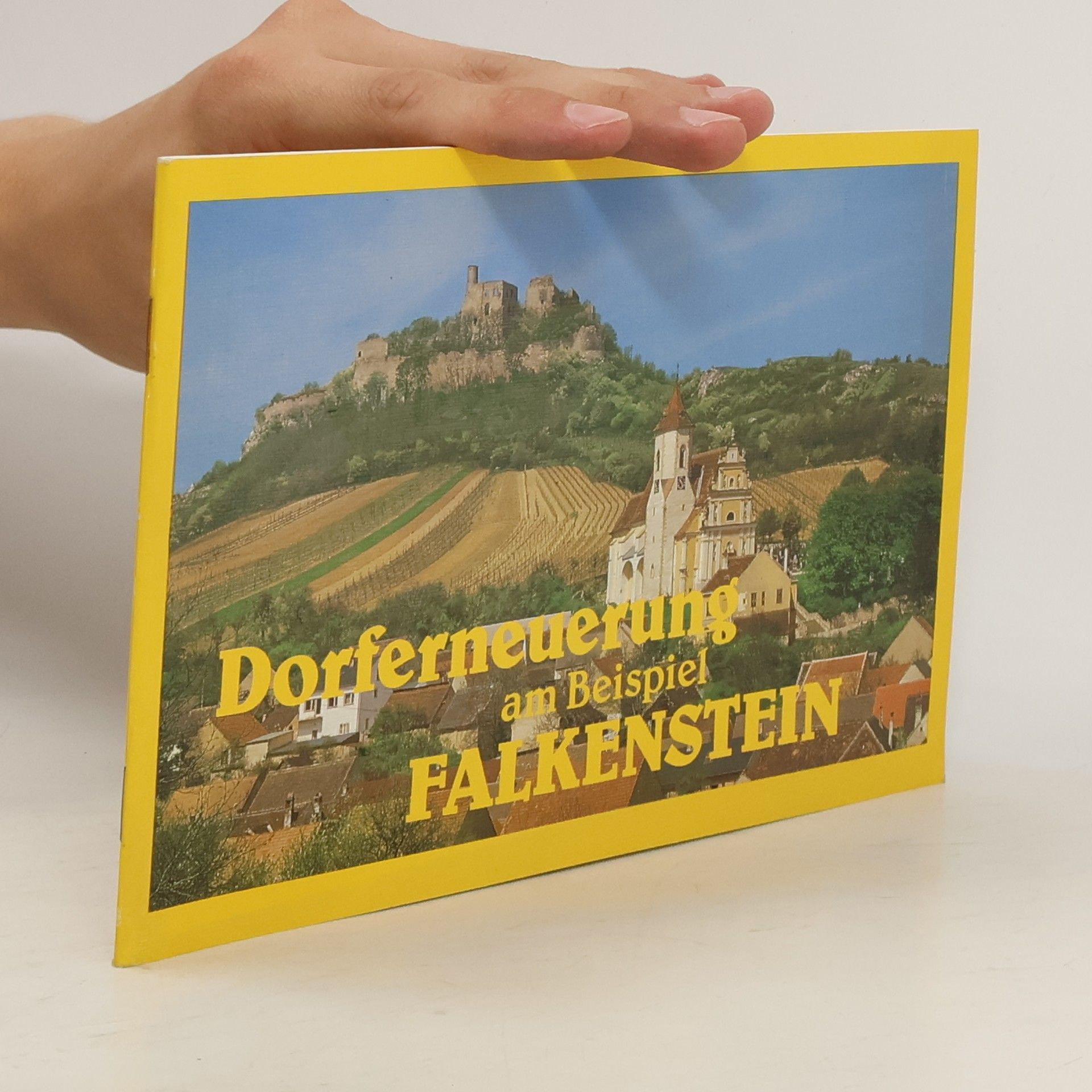 Collectif d'auteurs Dorferneuerung am Beispiel Falkenstein