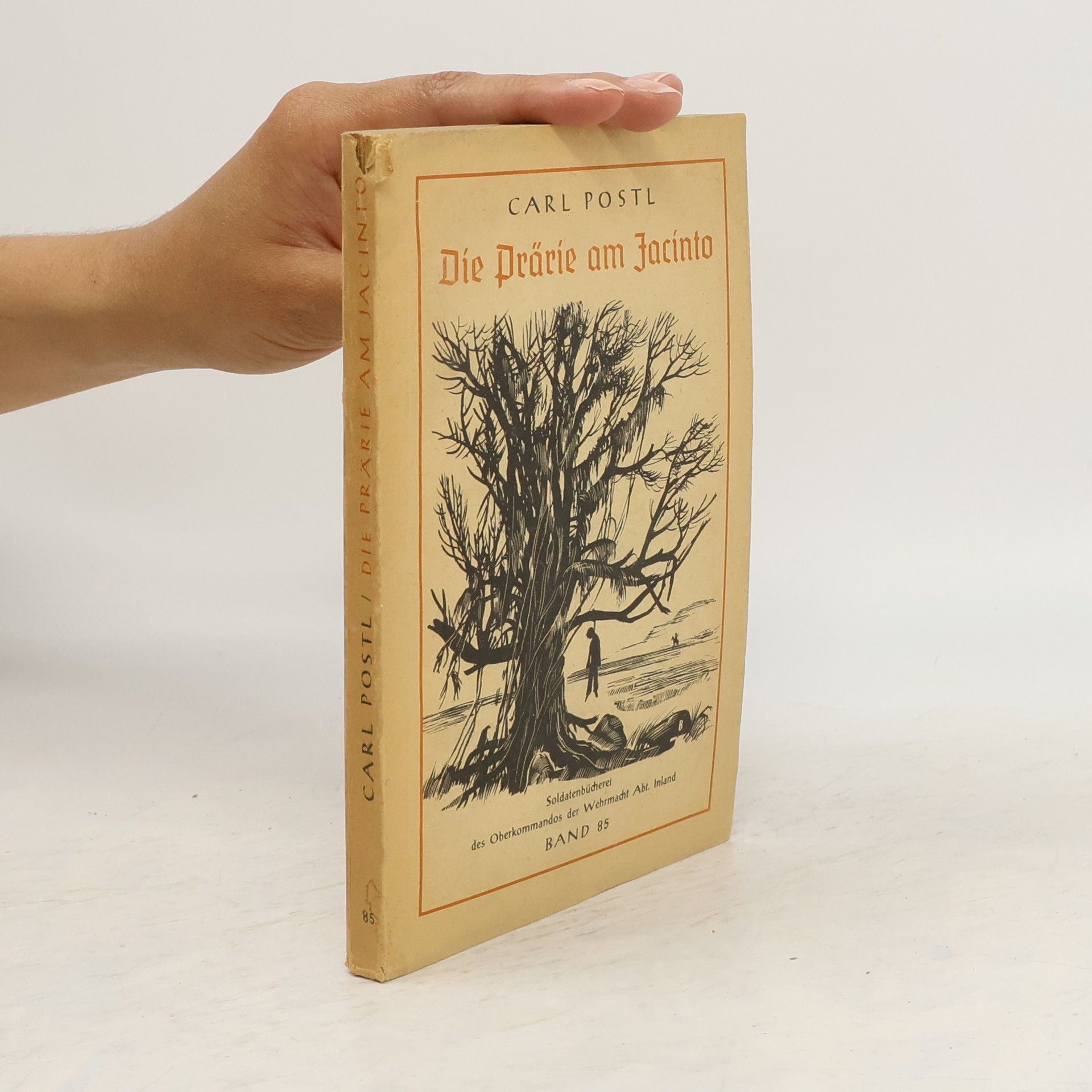 Die Prärie am Jacinto