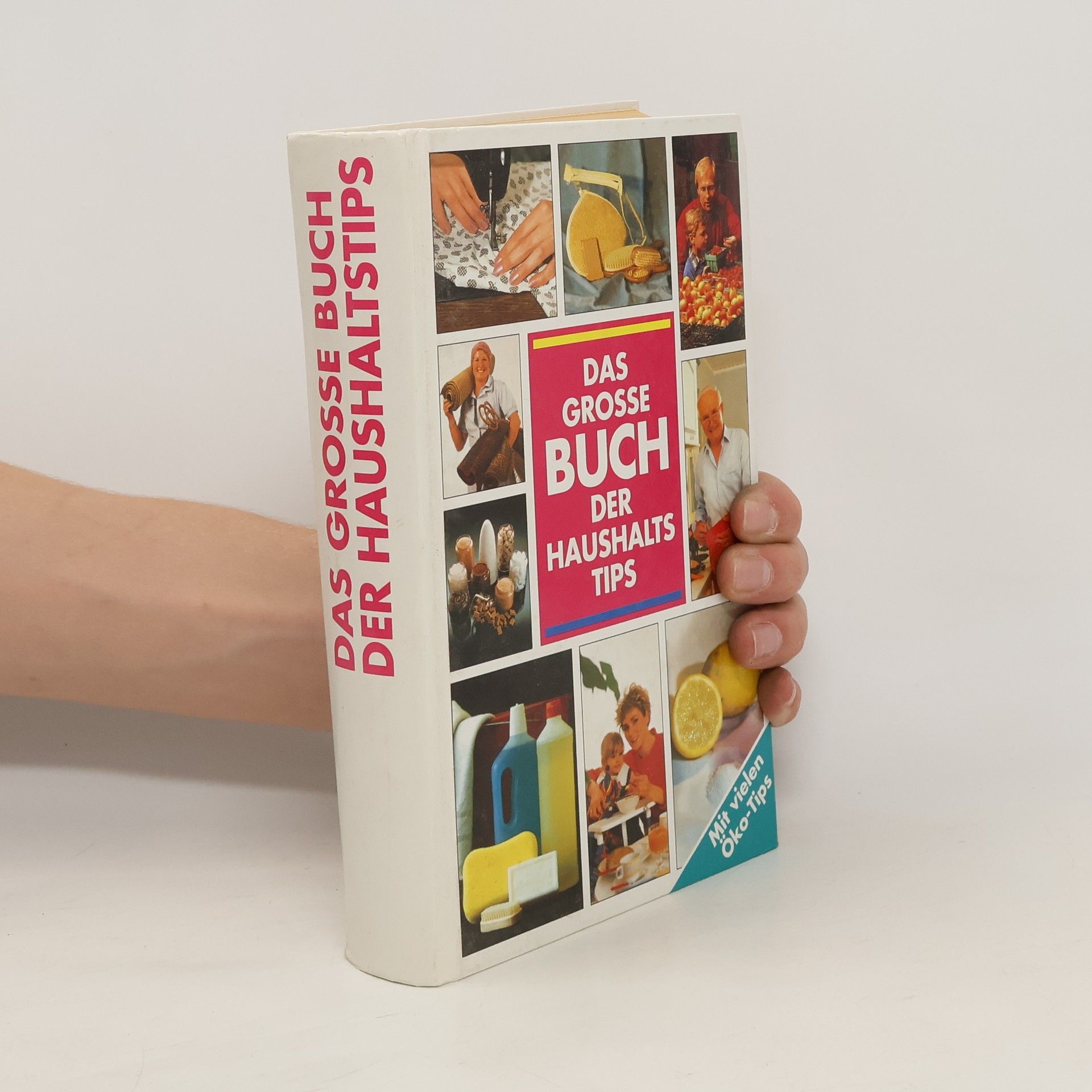 kolektiv Das Grosse Buch der Haushaltstips