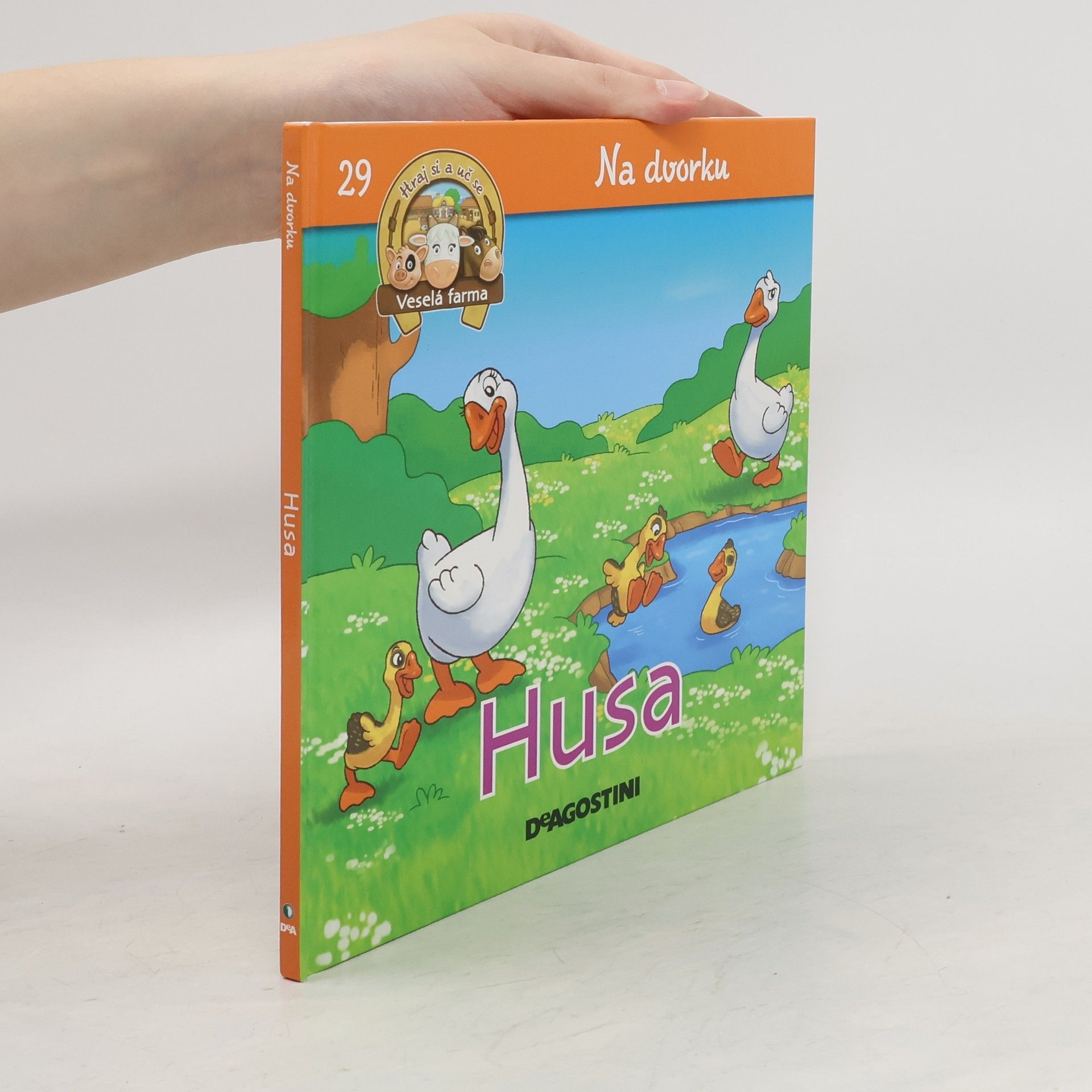 kolektiv Na dvorku 29. Husa