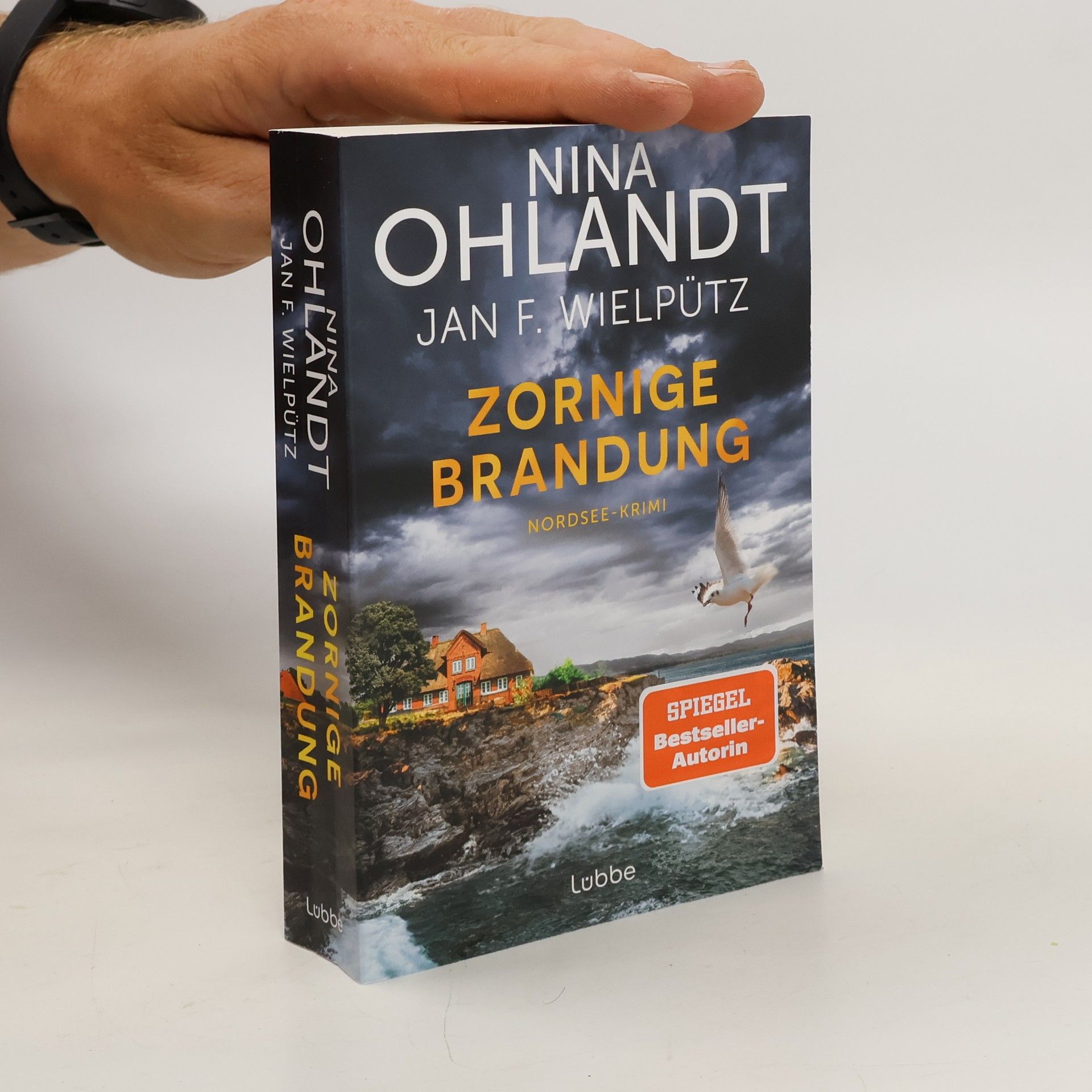 Nina Ohlandt Zornige Brandung