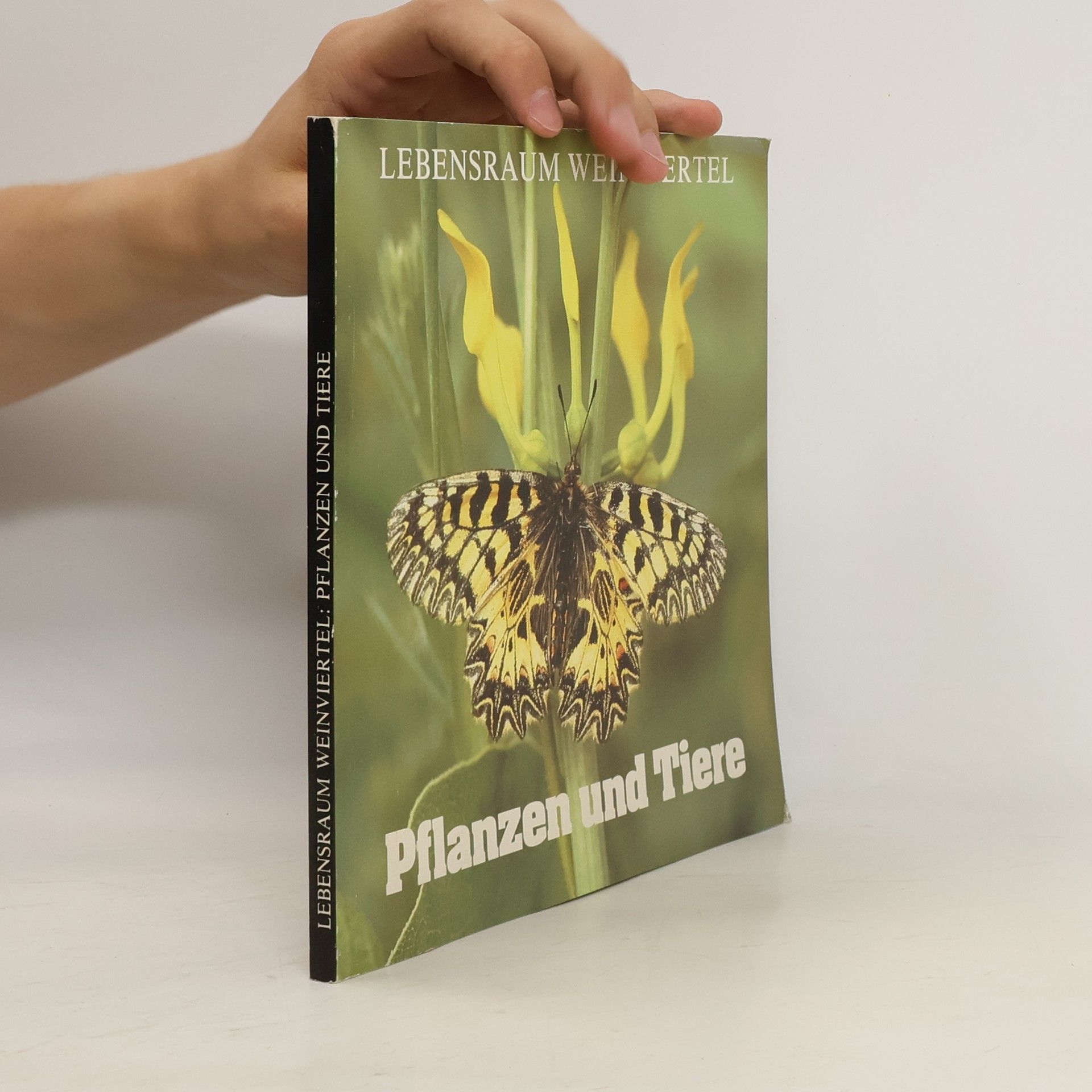 Collectif d'auteurs Pflanzen und Tiere: Lebensraum weinviertel