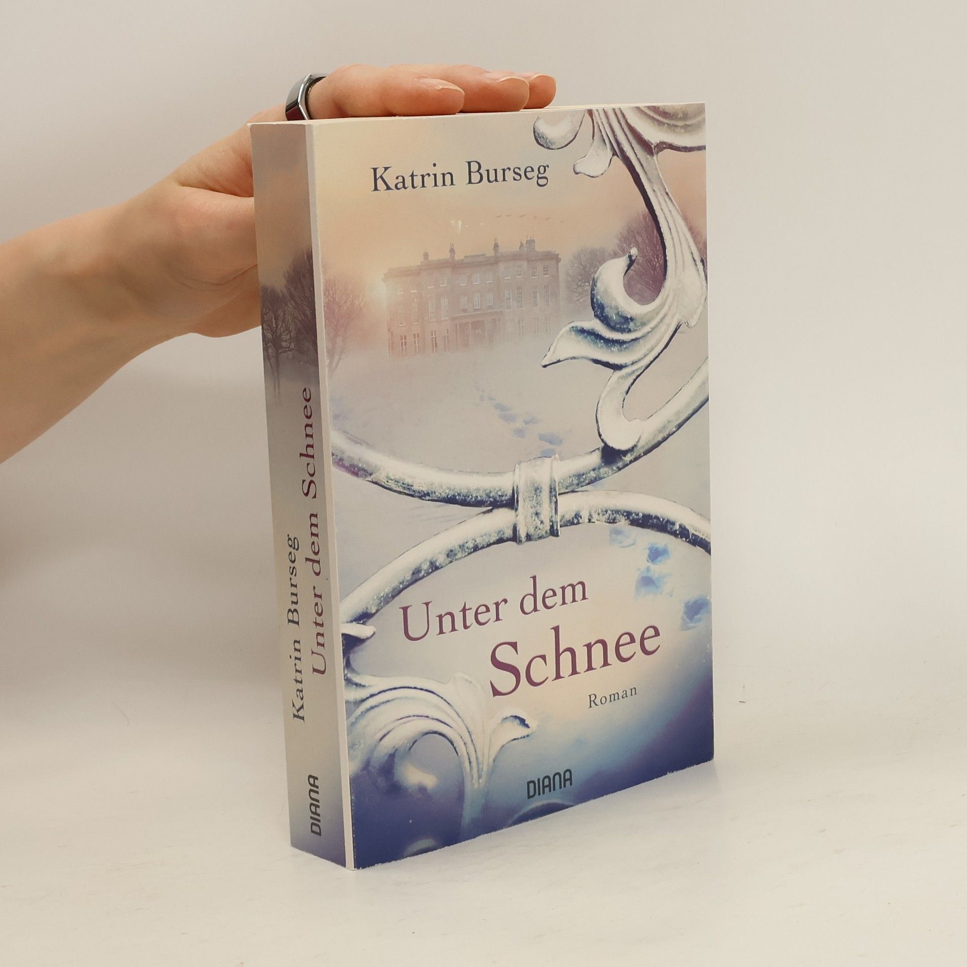 Katrin Burseg Unter dem Schnee