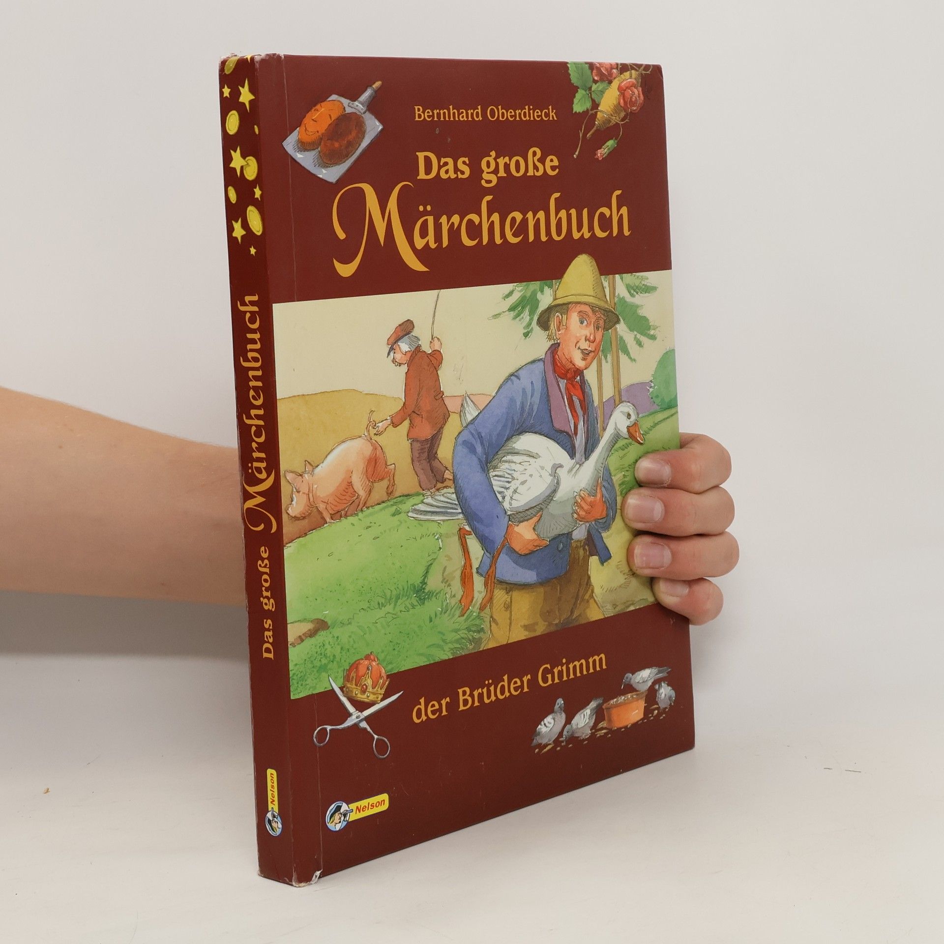 bratři Grimmové Das große Märchenbuch der Brüder Grimm. Nelson Sammelband