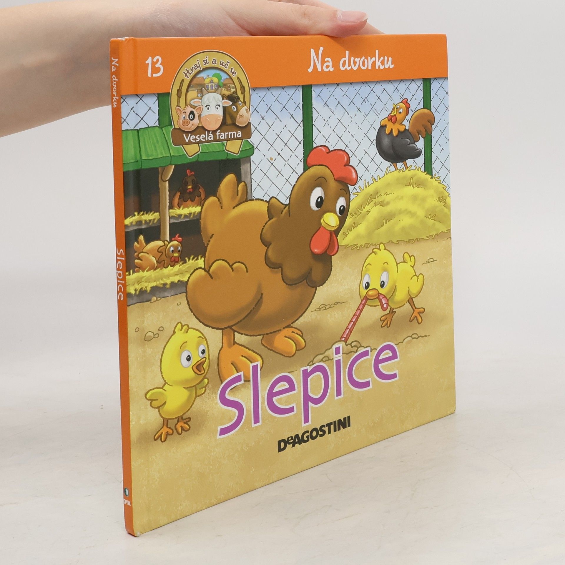 kolektiv Na dvorku 13. Slepice