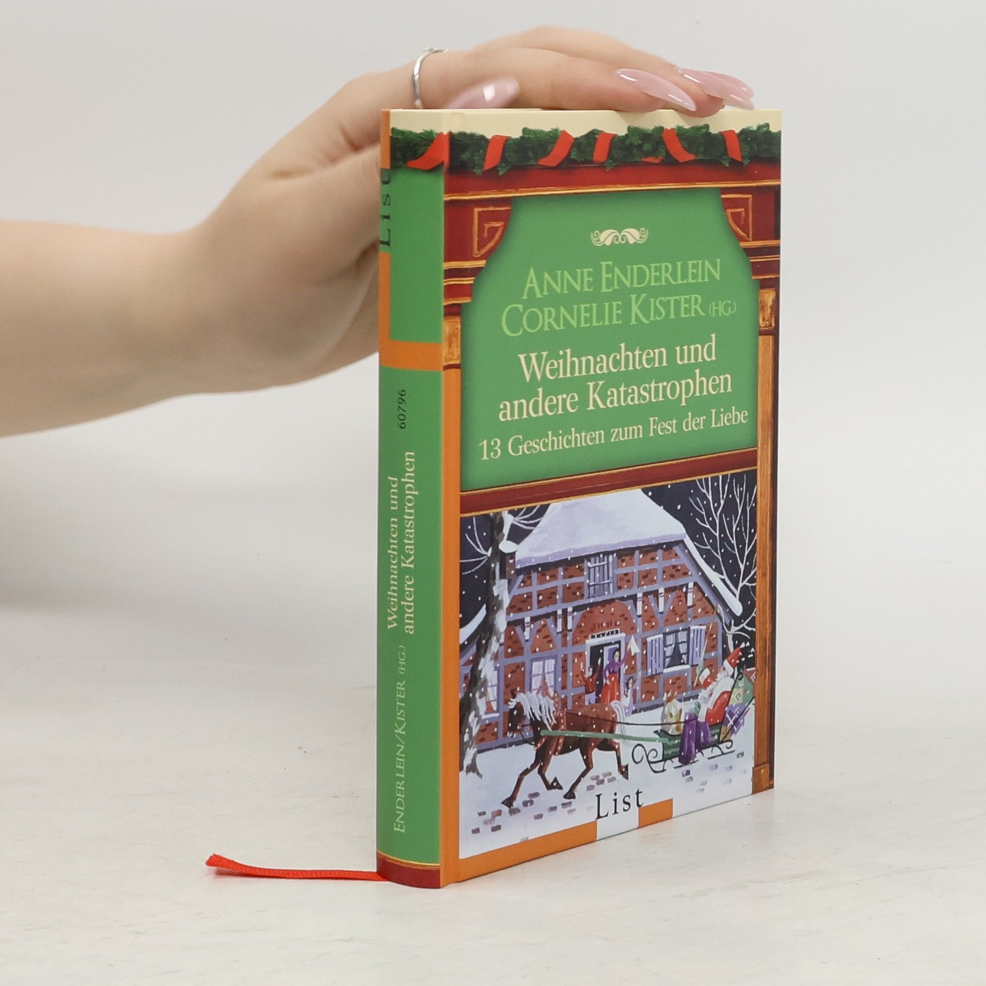 Anne Enderlein Weihnachten und andere Katastrophen