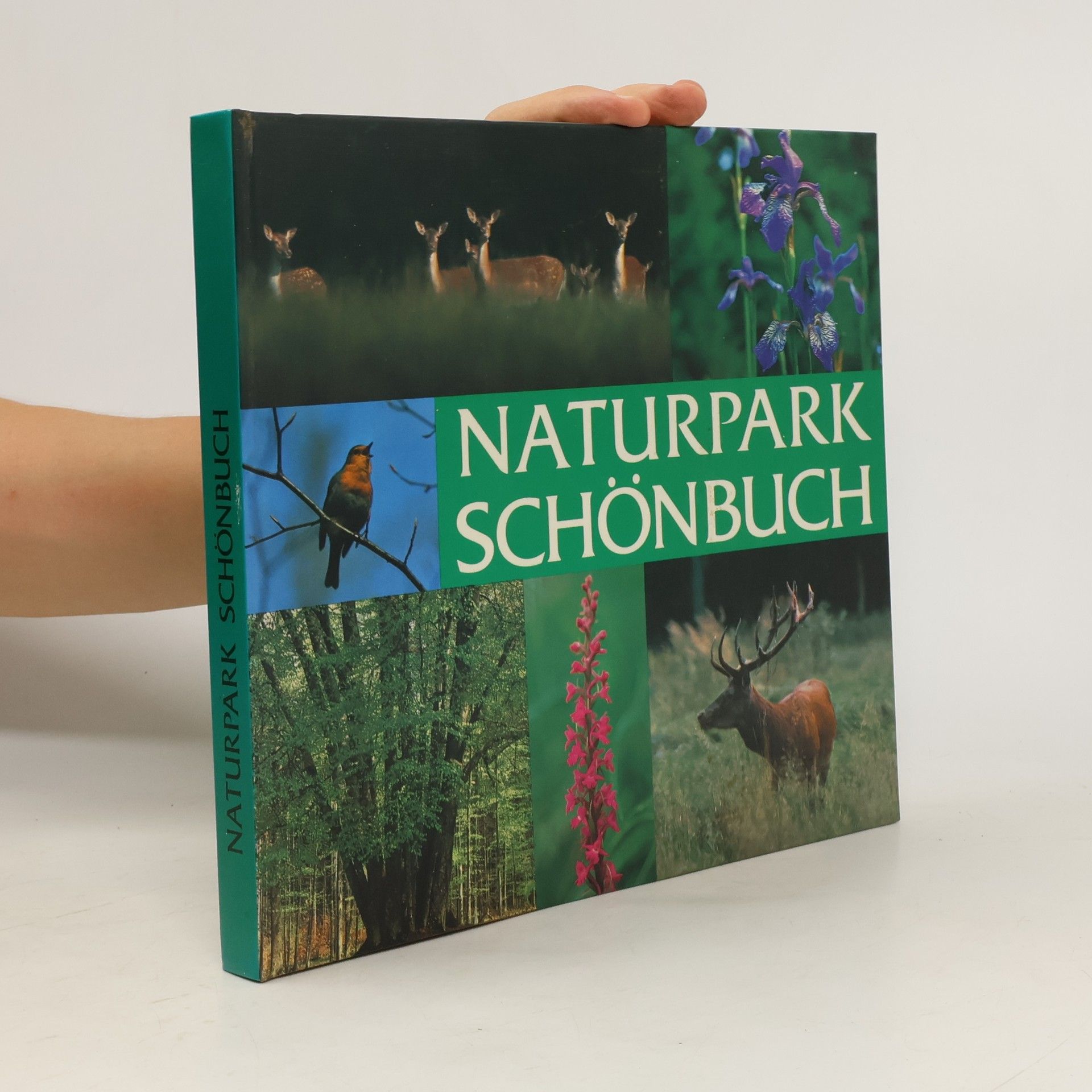 Werner Ulmer Naturpark Schönbuch