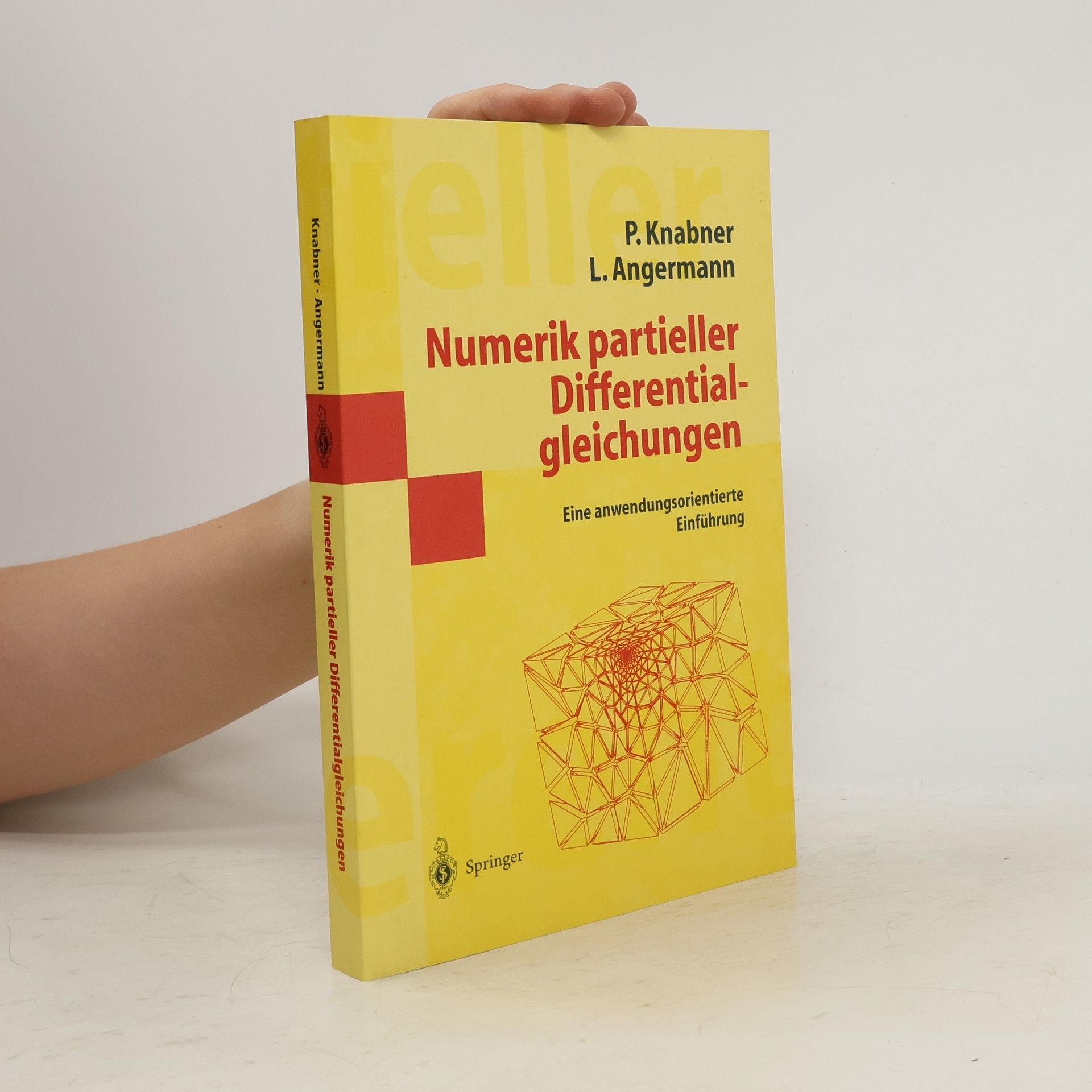 Peter Knabner Numerik partieller Differentialgleichungen