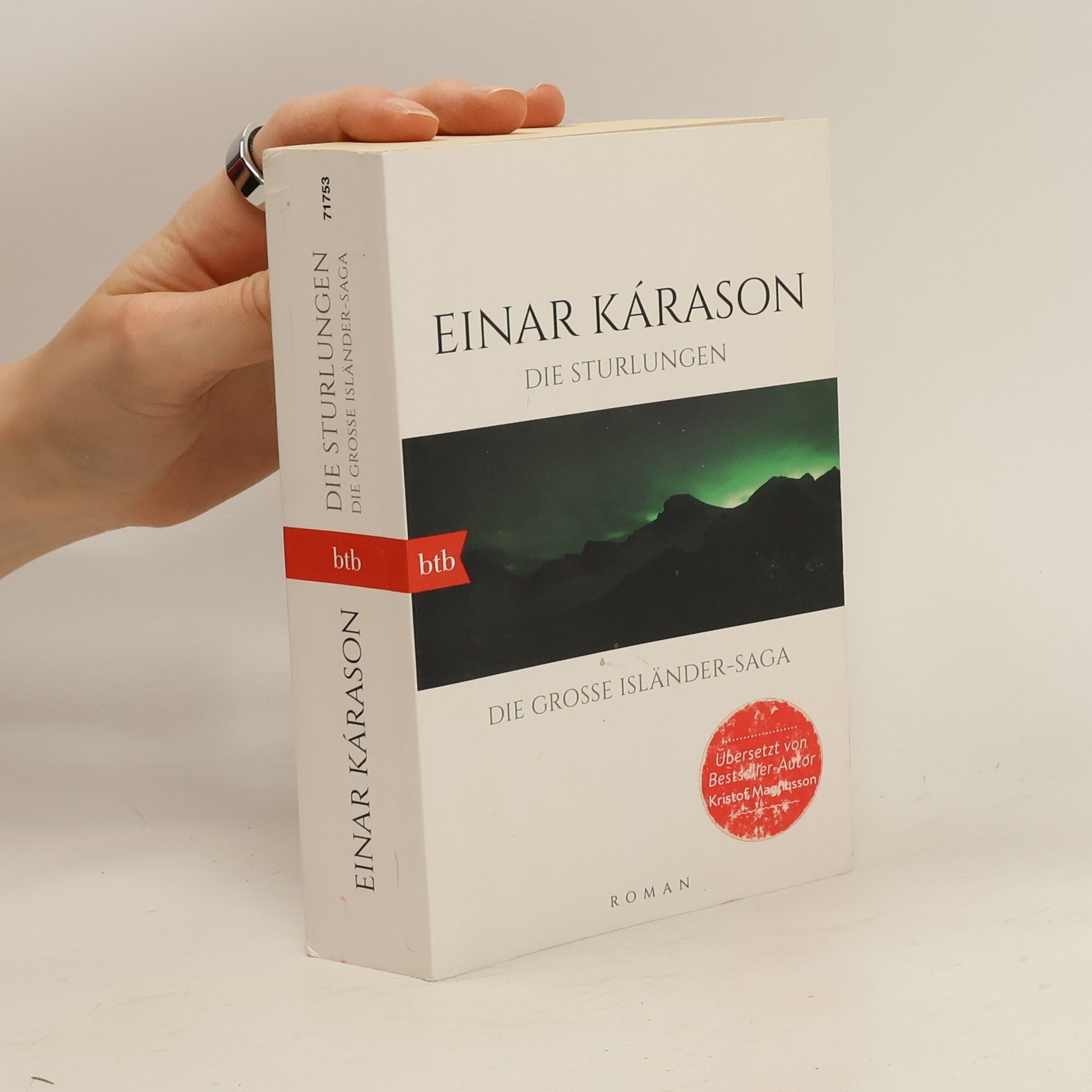 Einar Kárason Die Sturlungen