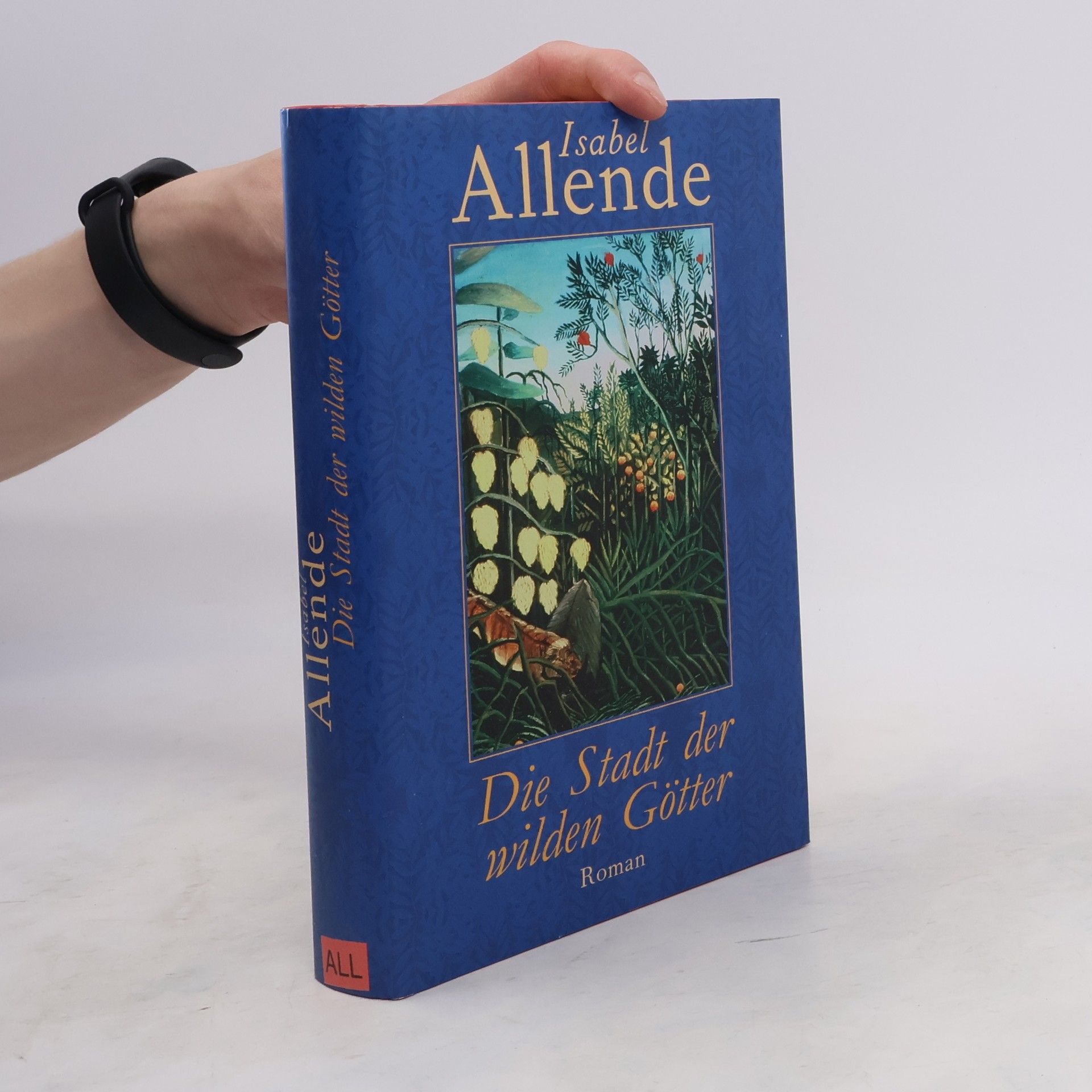 Isabel Allende Die Stadt der wilden Götter