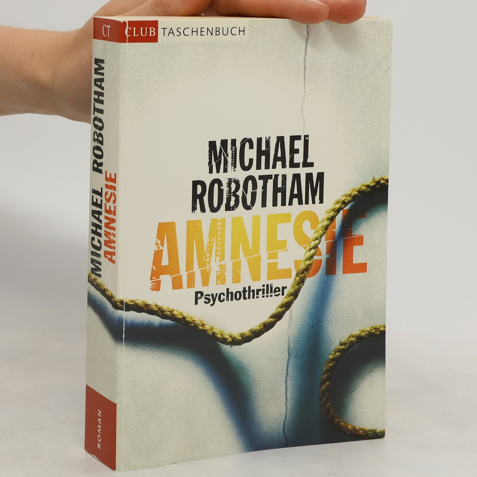 Michael Robotham Amnesie