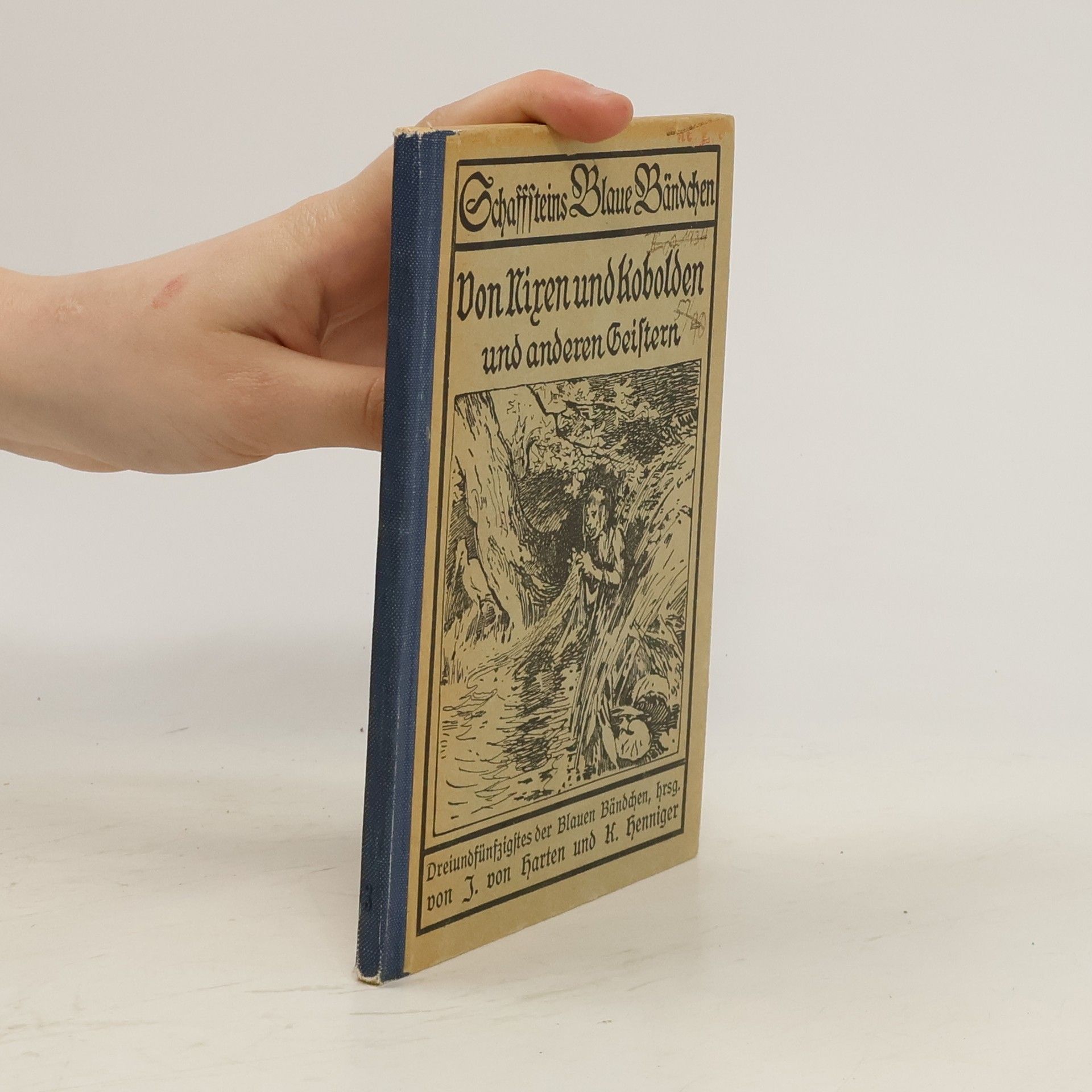 Von Nixen und Kobolden und anderen Geistern