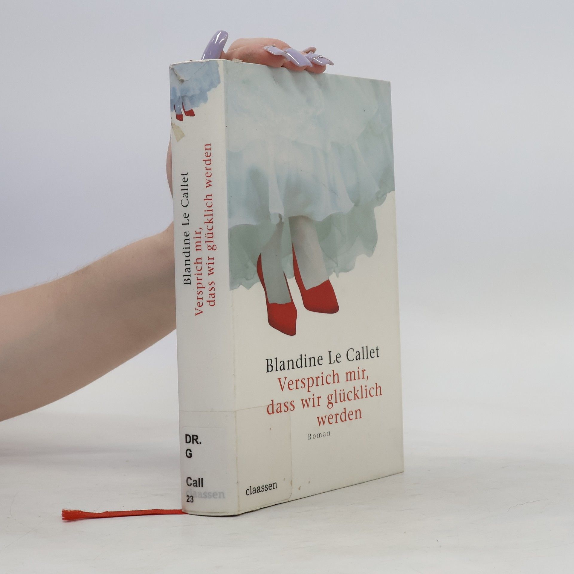 Blandine Le Callet Versprich mir, dass wir glücklich werden