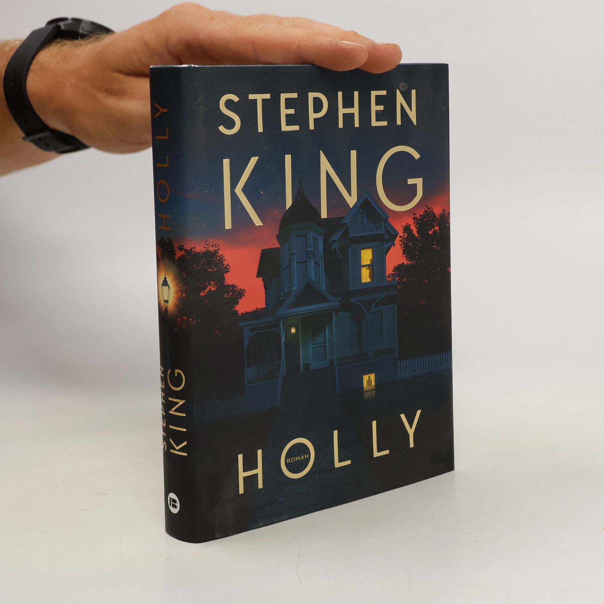 Stephen King Holly