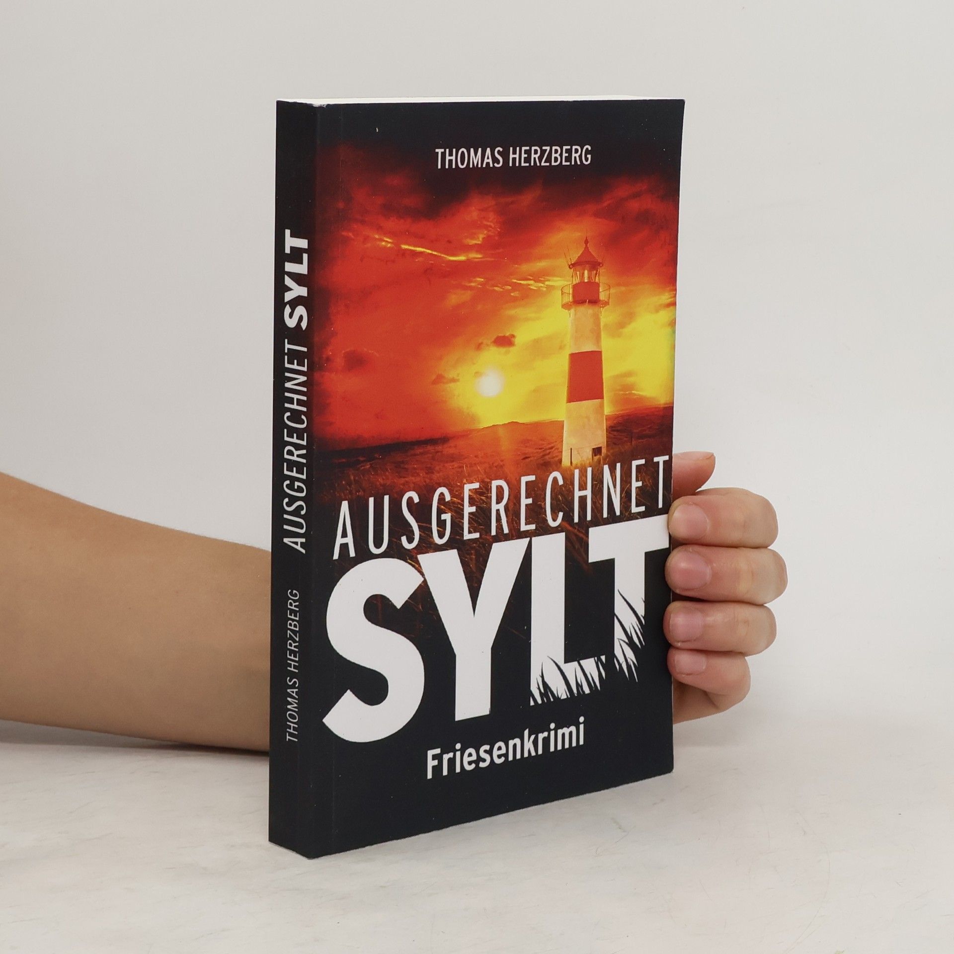 Thomas Herzberg Ausgerechnet Sylt