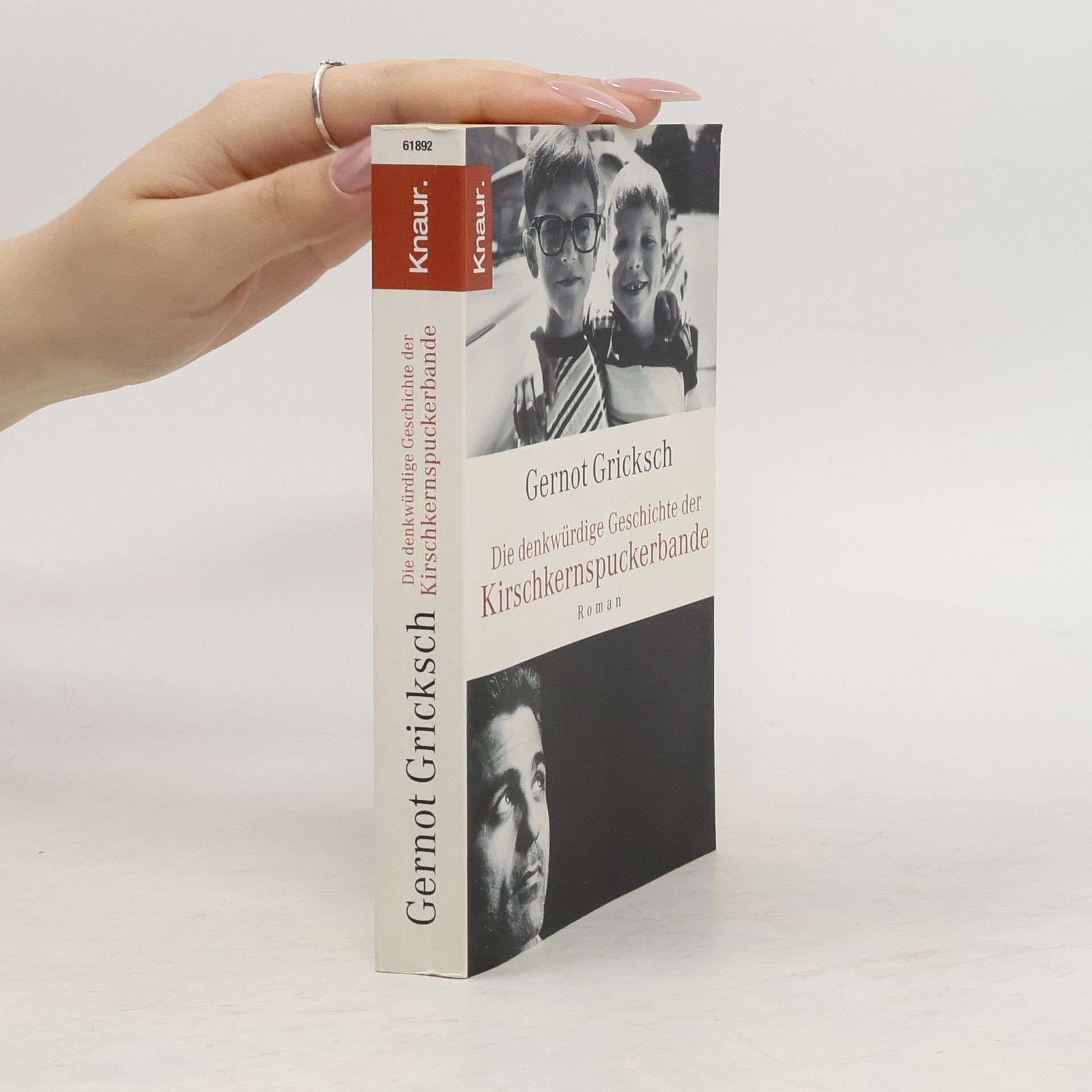 Gernot Gricksch Die denkwürdige Geschichte der Kirschkernspuckerbande