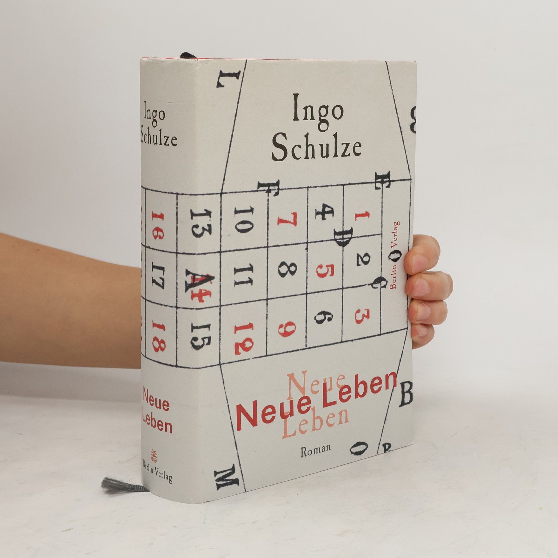 Ingo Schulze Neue Leben