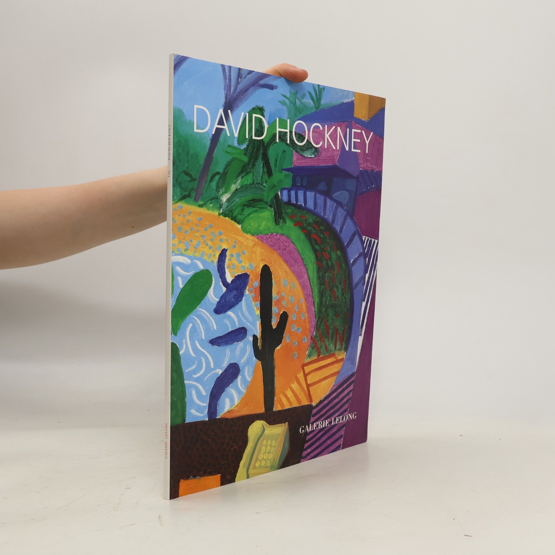 Collectif d'auteurs David Hockney