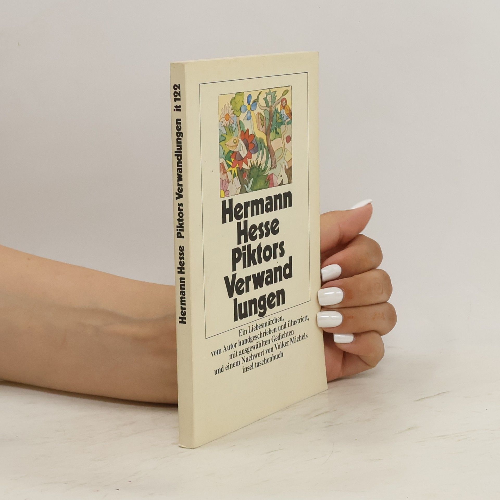 Hermann Hesse Piktors Verwandlungen