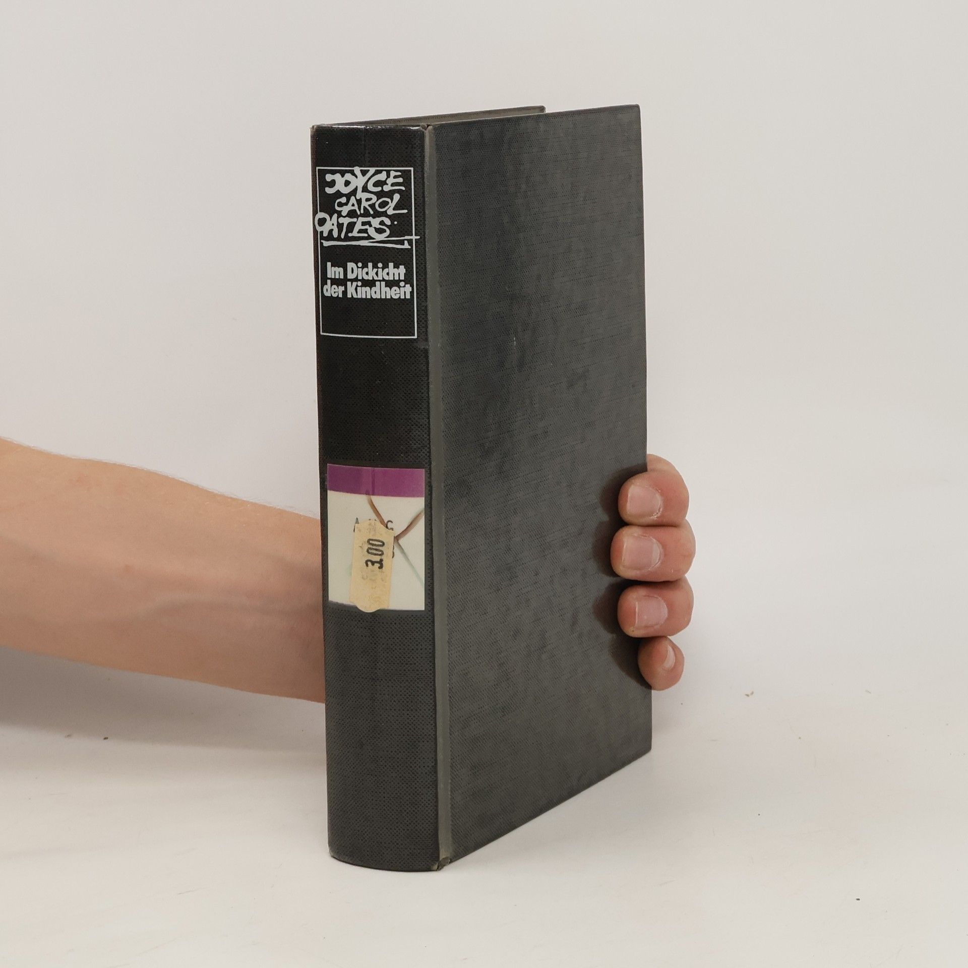 Joyce Carol Oates Im Dickicht der Kindheit