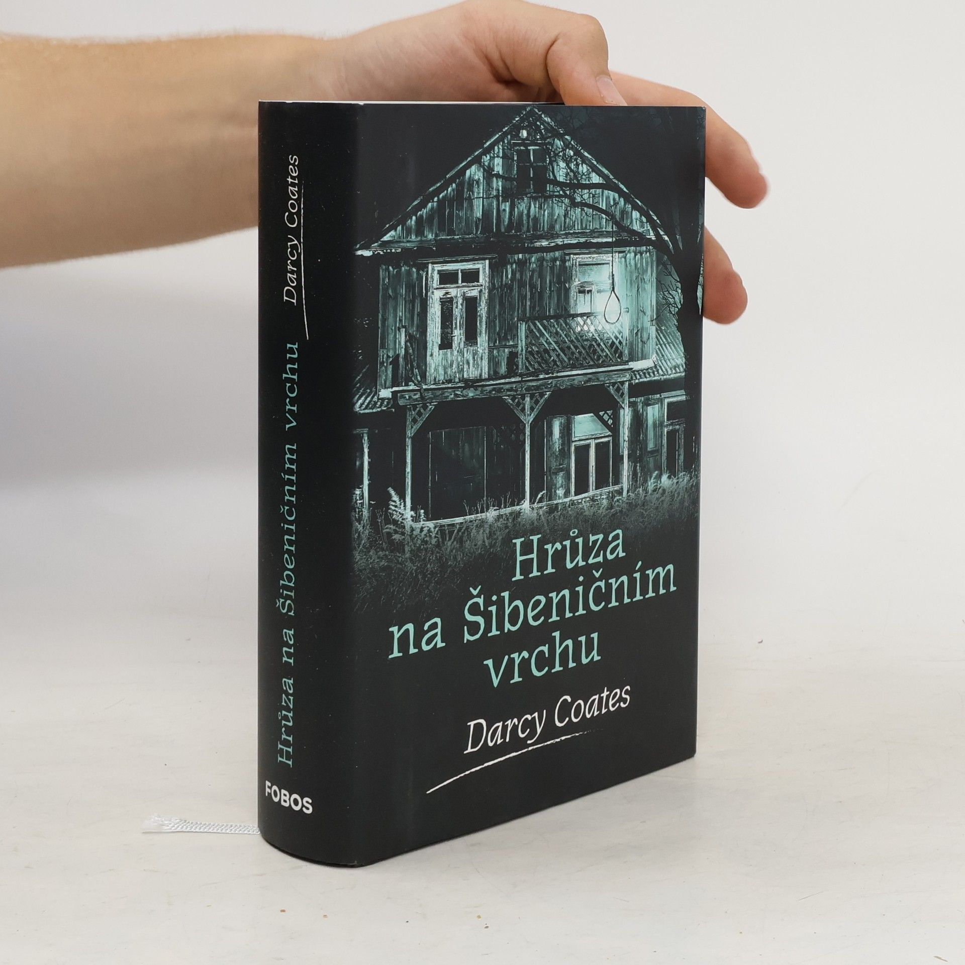 Darcy Coates Hrůza na Šibeničním vrchu