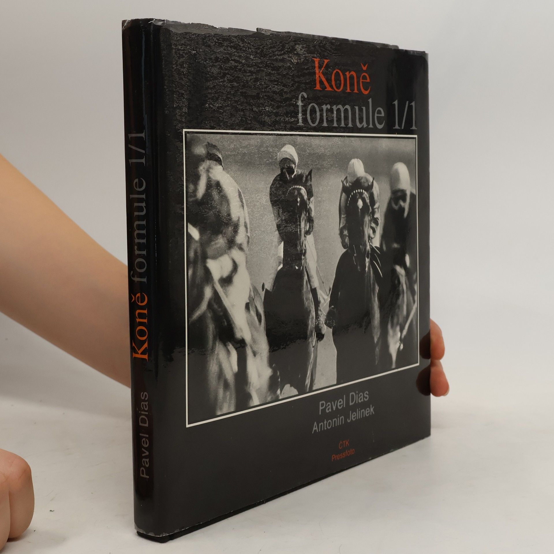 Pavel Dias Koně formule 1/1