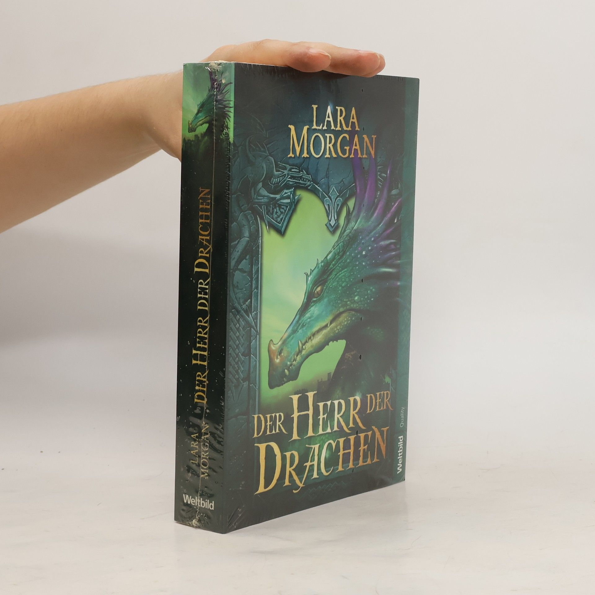 Lara Morgan Der Herr der Drachen