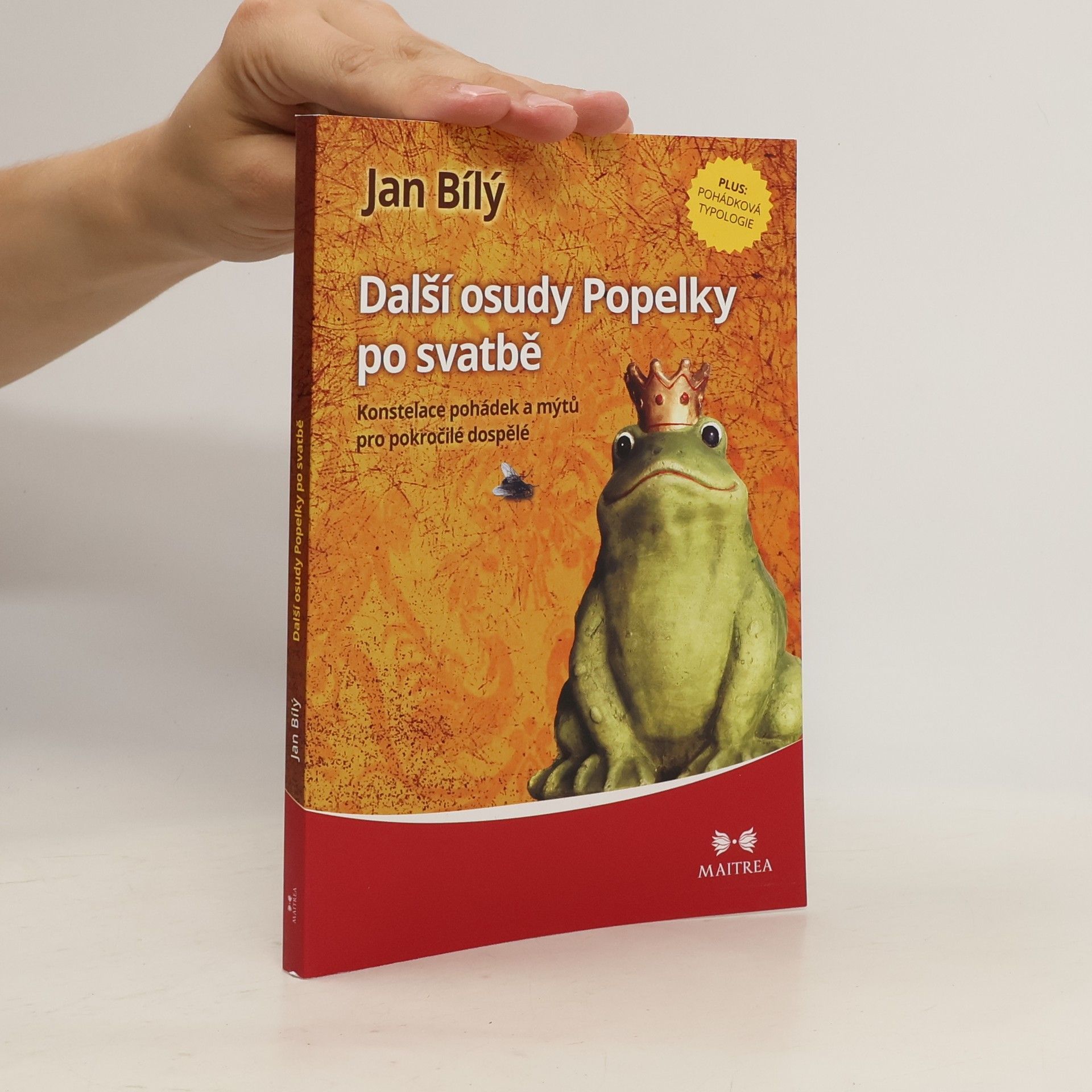 Jan Bílý Další osudy Popelky po svatbě