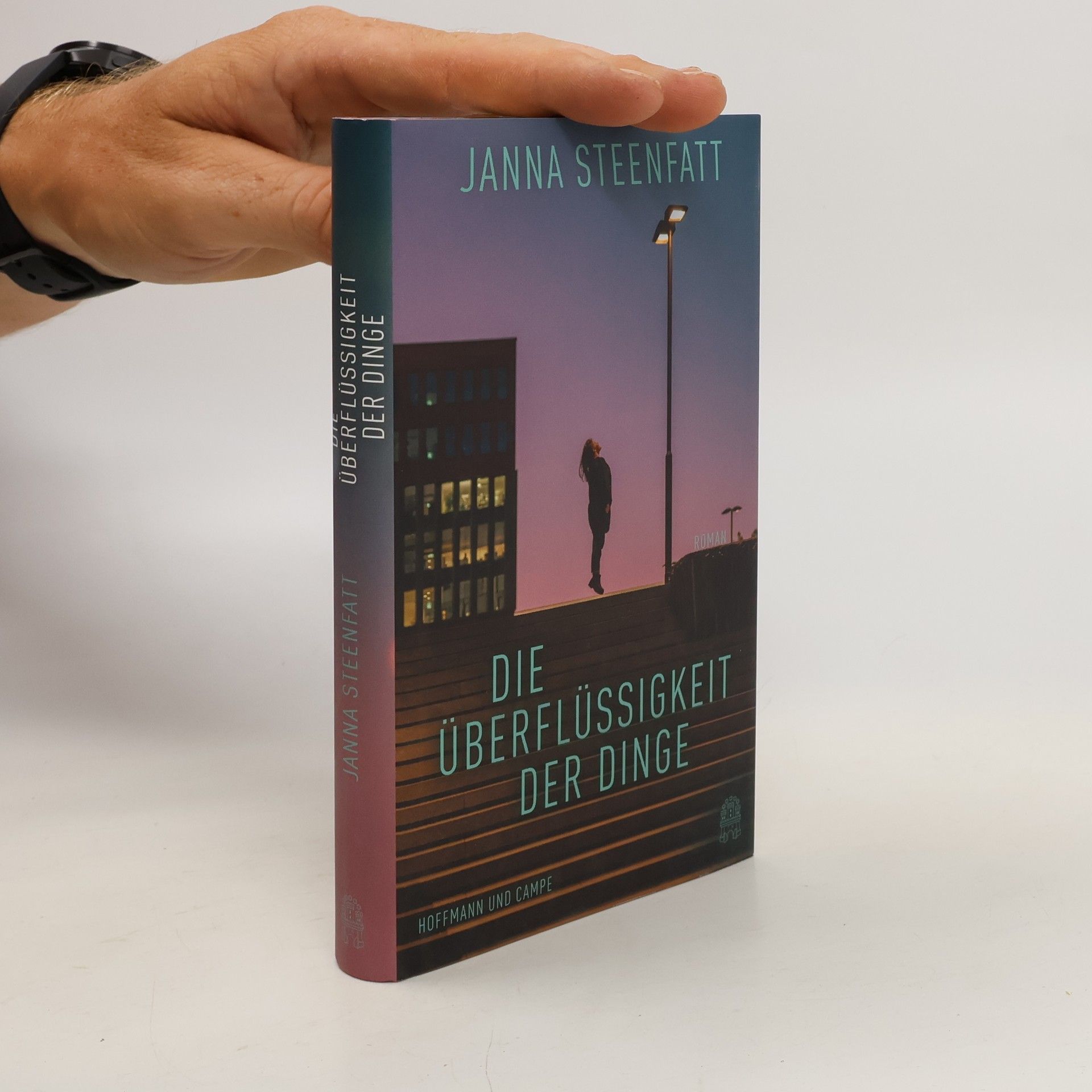 Janna Steenfatt Die Überflüssigkeit der Dinge