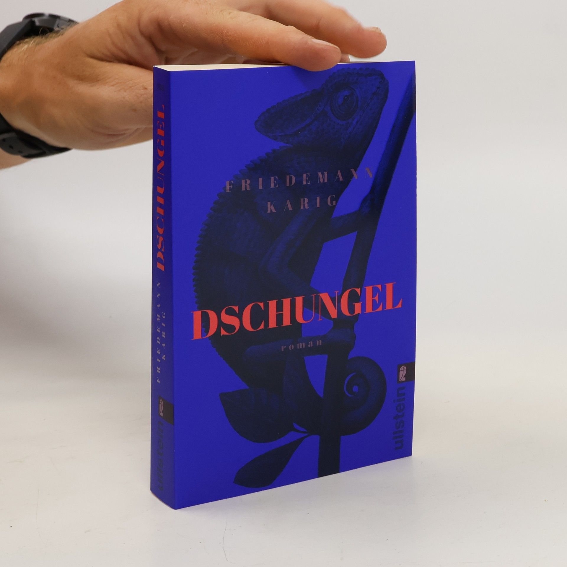 Friedemann Karig Dschungel