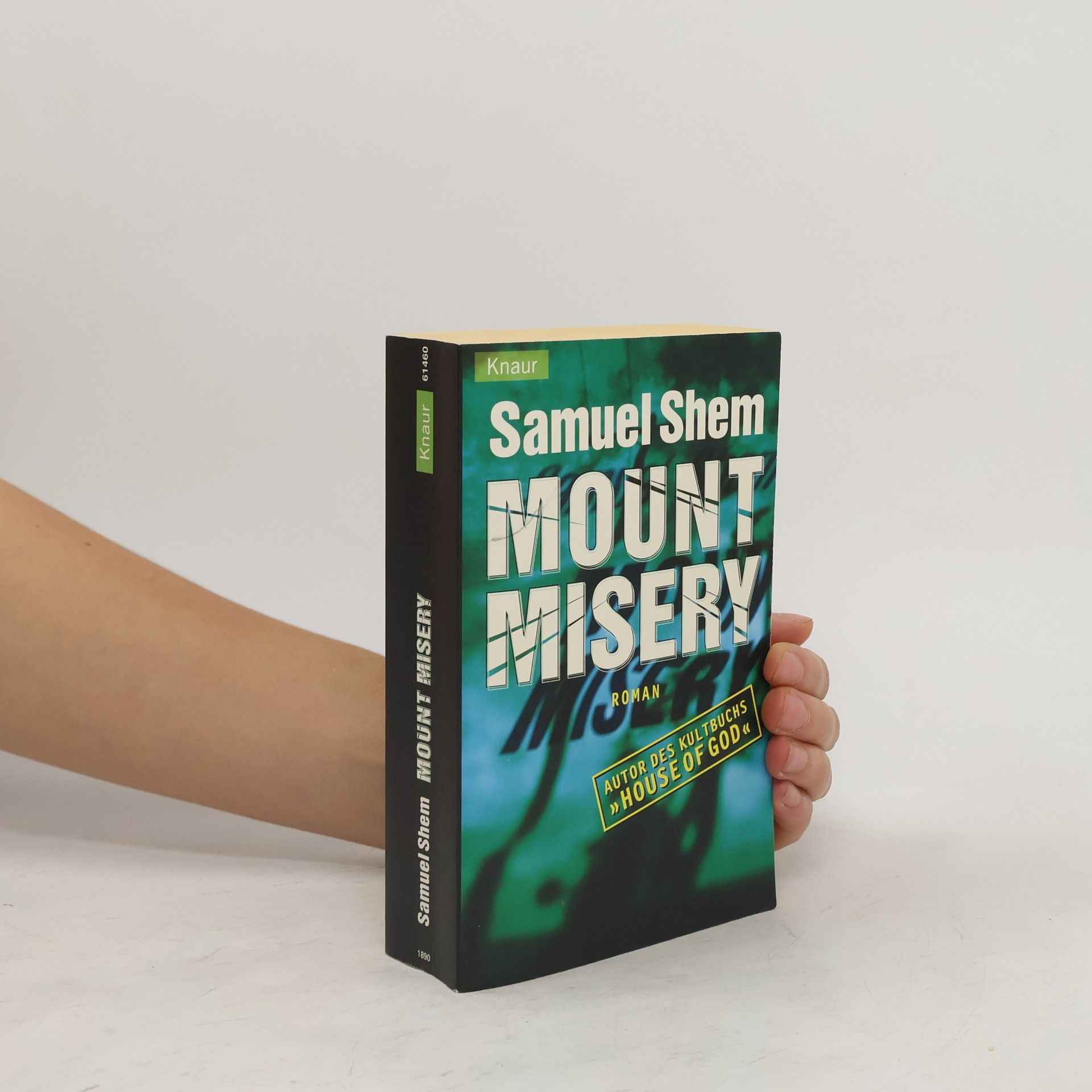 Samuel Shem Mount Misery