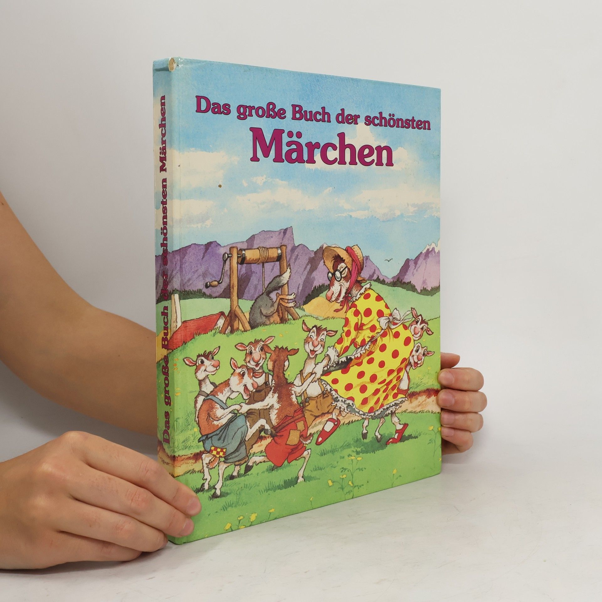 Netti van Dok Das große Buch der schönsten Märchen