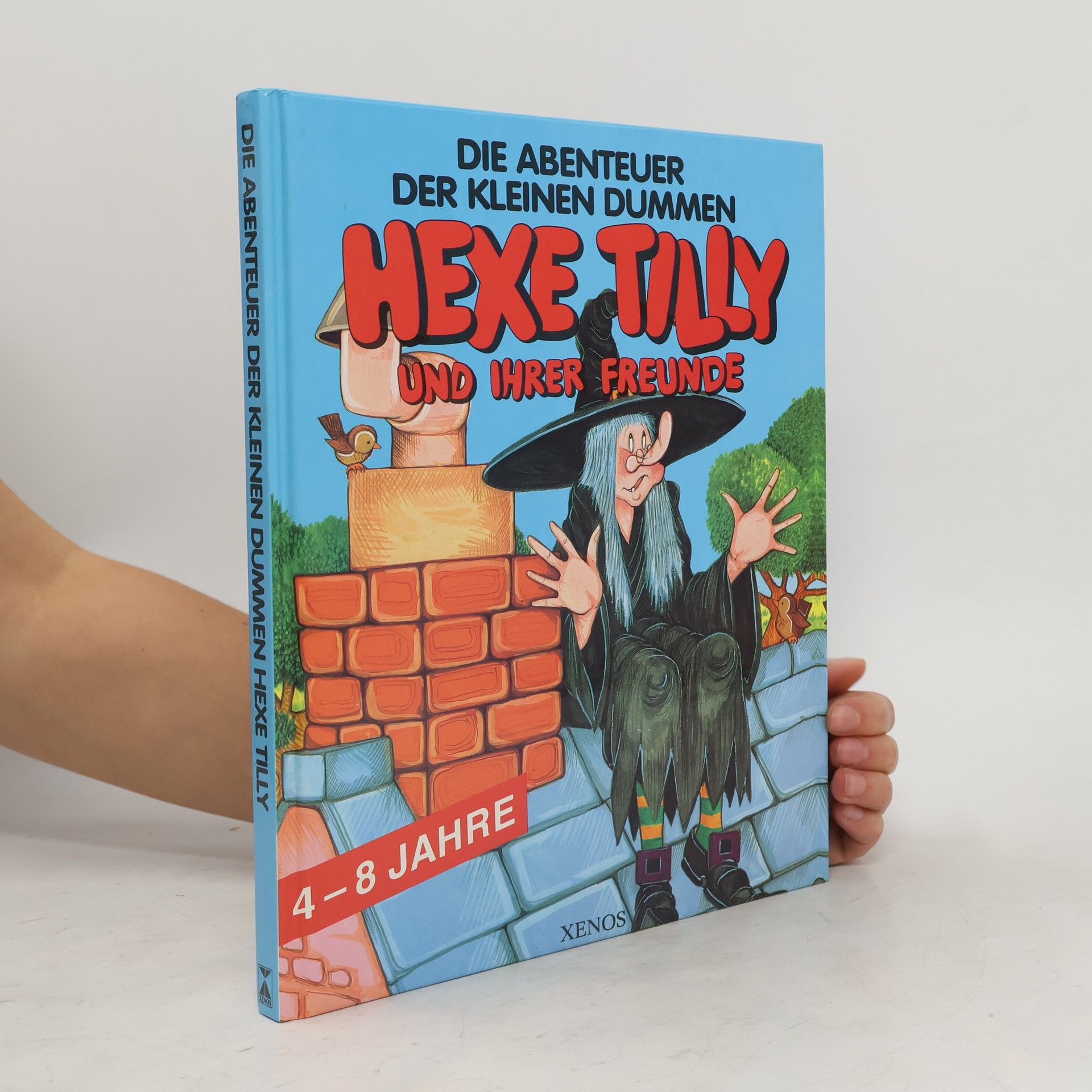 Autores varios Die Abenteuer der kleinen dummen Hexe Tilly und ihrer Freunde