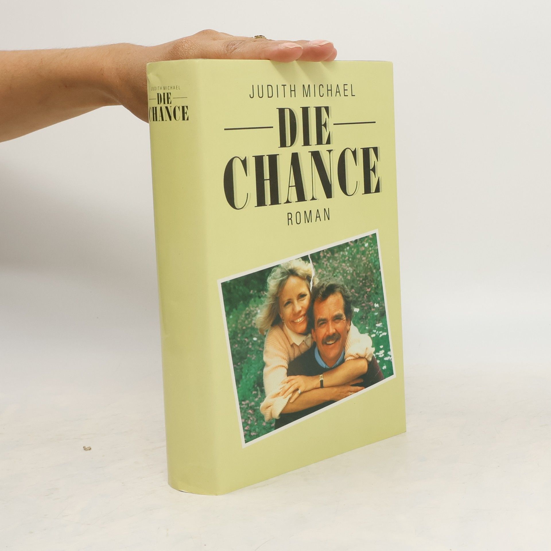 Judith Michael Die Chance