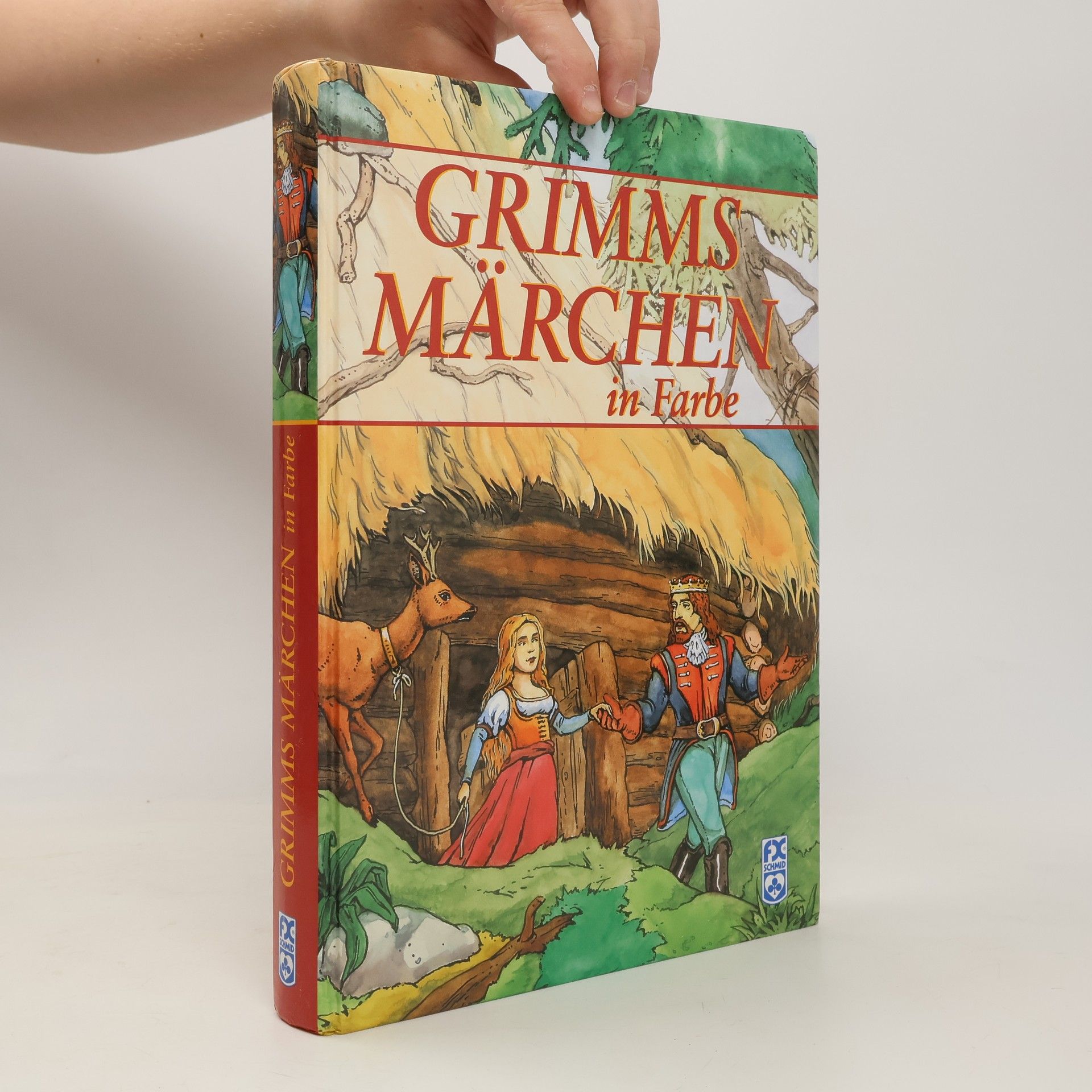 bratři Grimmové Grimms Märchen in Farbe