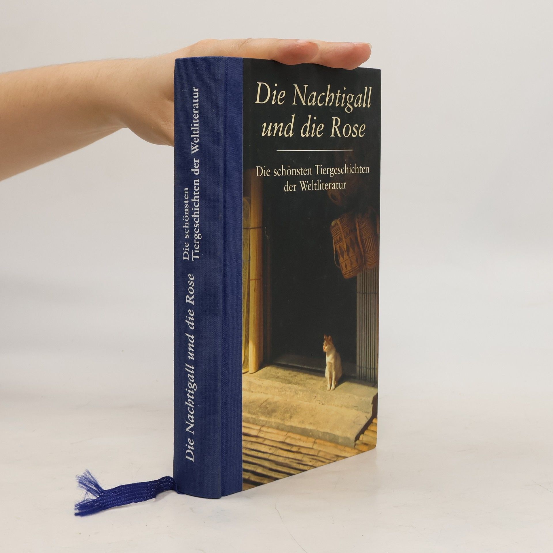 Gesine Dammel Die Nachtigall und die Rose